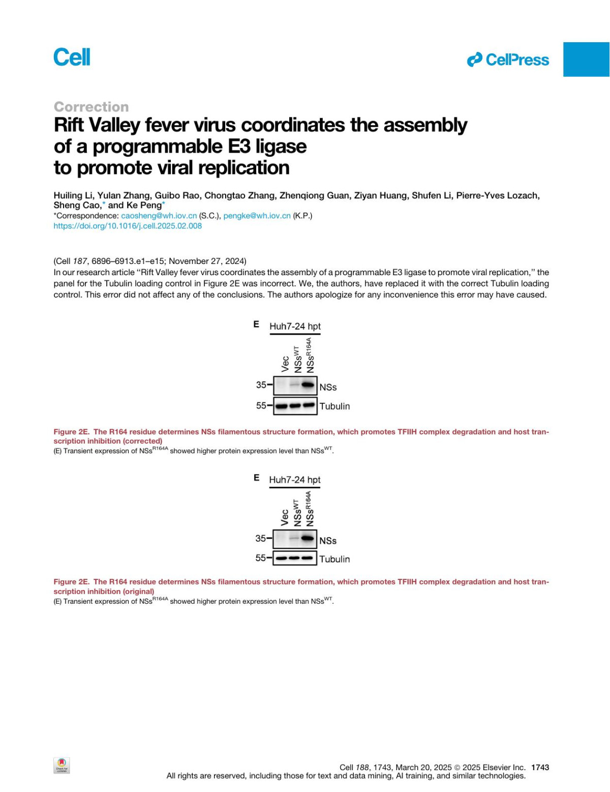 Rift Valley Fever Virus Coordinates The Assembly Of A Programmable E3 Ligase To Promote Viral Replication Huiling Li Yulan Zhang Guibo Rao Chongtao Zhang Zhenqiong Guan Ziyan Huang Shufen Li Pierreyves Lozach Sheng Cao Ke Peng
