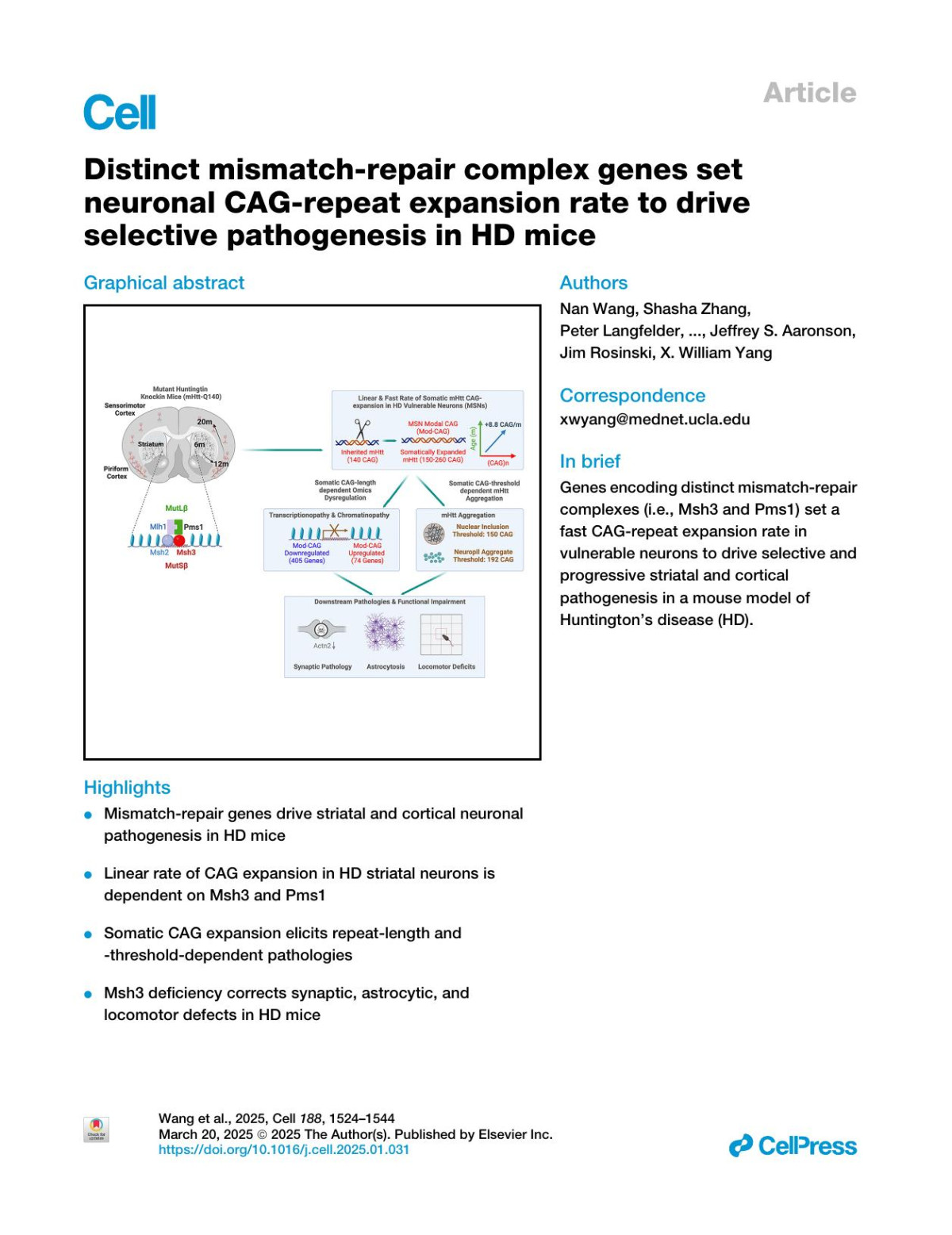 Distinct Mismatchrepair Complex Genes Set Neuronal Cagrepeat Expansion Rate To Drive Selective Pathogenesis In Hd Mice Nan Wang Shasha Zhang Peter Langfelder Lalini Ramanathan Fuying Gao Mary Plascencia Raymond Vaca Xiaofeng Gu Linna Deng Leonardo E Dionisio Ha Vu Emily Maciejewski Jason Ernst Brinda C Prasad Thomas F Vogt Steve Horvath