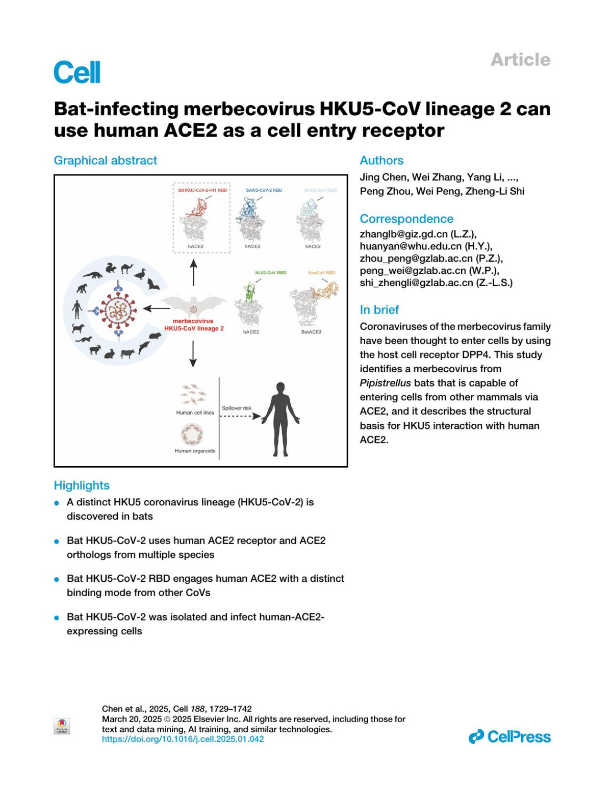 Batinfecting Merbecovirus Hku5cov Lineage 2 Can Use Human Ace2 As A Cell Entry Receptor Jing Chen Wei Zhang Yang Li Chen Liu Tianyi Dong Huiyu Chen Chunguang Wu Jia Su Bei Li Ben Hu Jingkun Jia Chengbao Ma Yan Zhu Xiangyang He Ang Li Kaiyi Pan Haofeng Lin Zishuo Guo Cong Li Libiao Zhang Huan Yan