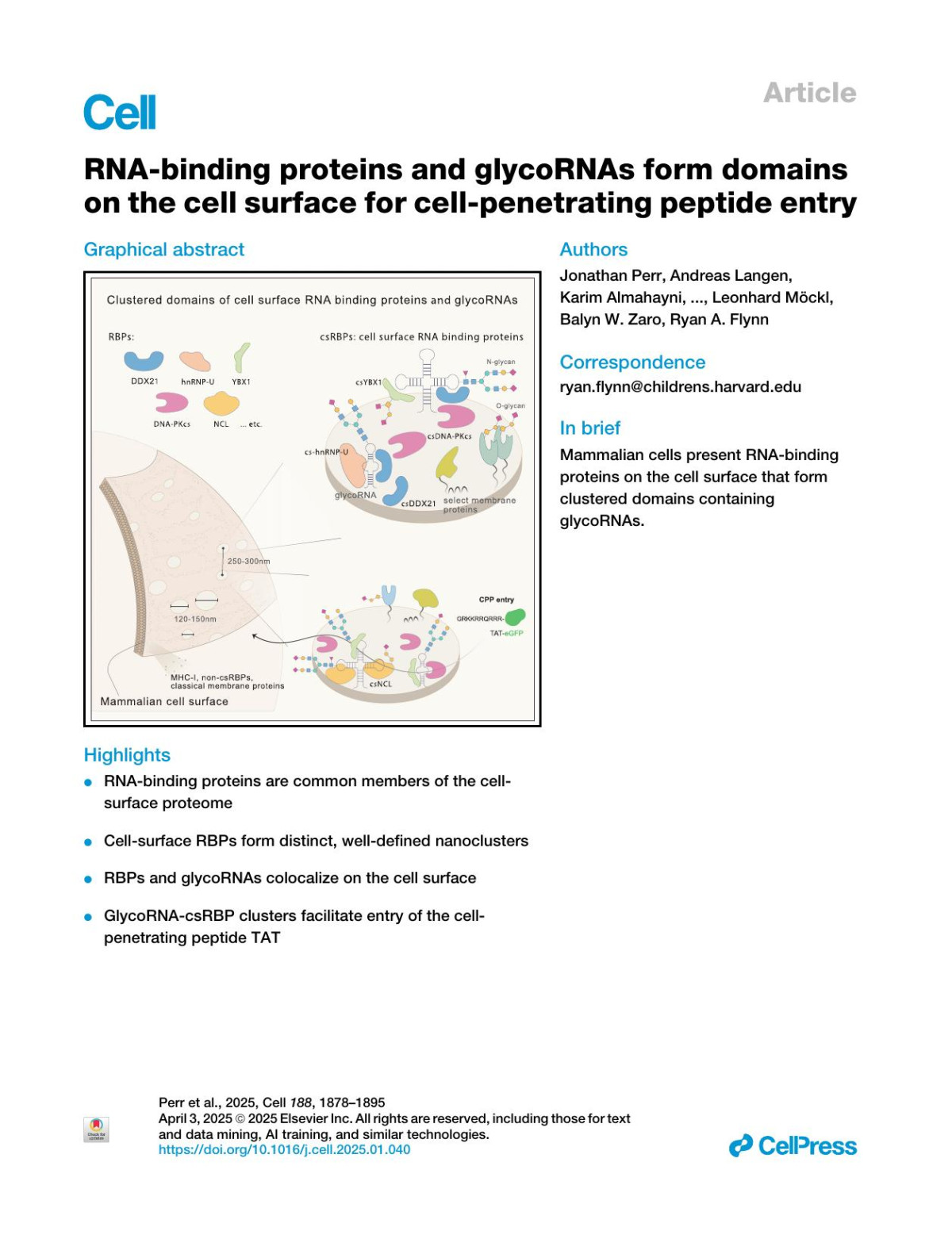 Rnabinding Proteins And Glycornas Form Domains On The Cell Surface For Cellpenetrating Peptide Entry Jonathan Perr Andreas Langen Karim Almahayni Gianluca Nestola Peiyuan Chai Charlotta G Lebedenko Regan F Volk Diego Detrés Reese M Caldwell Malte Spiekermann Helena Hemberger Namita Bisaria Toshihiko Aiba Francisco J