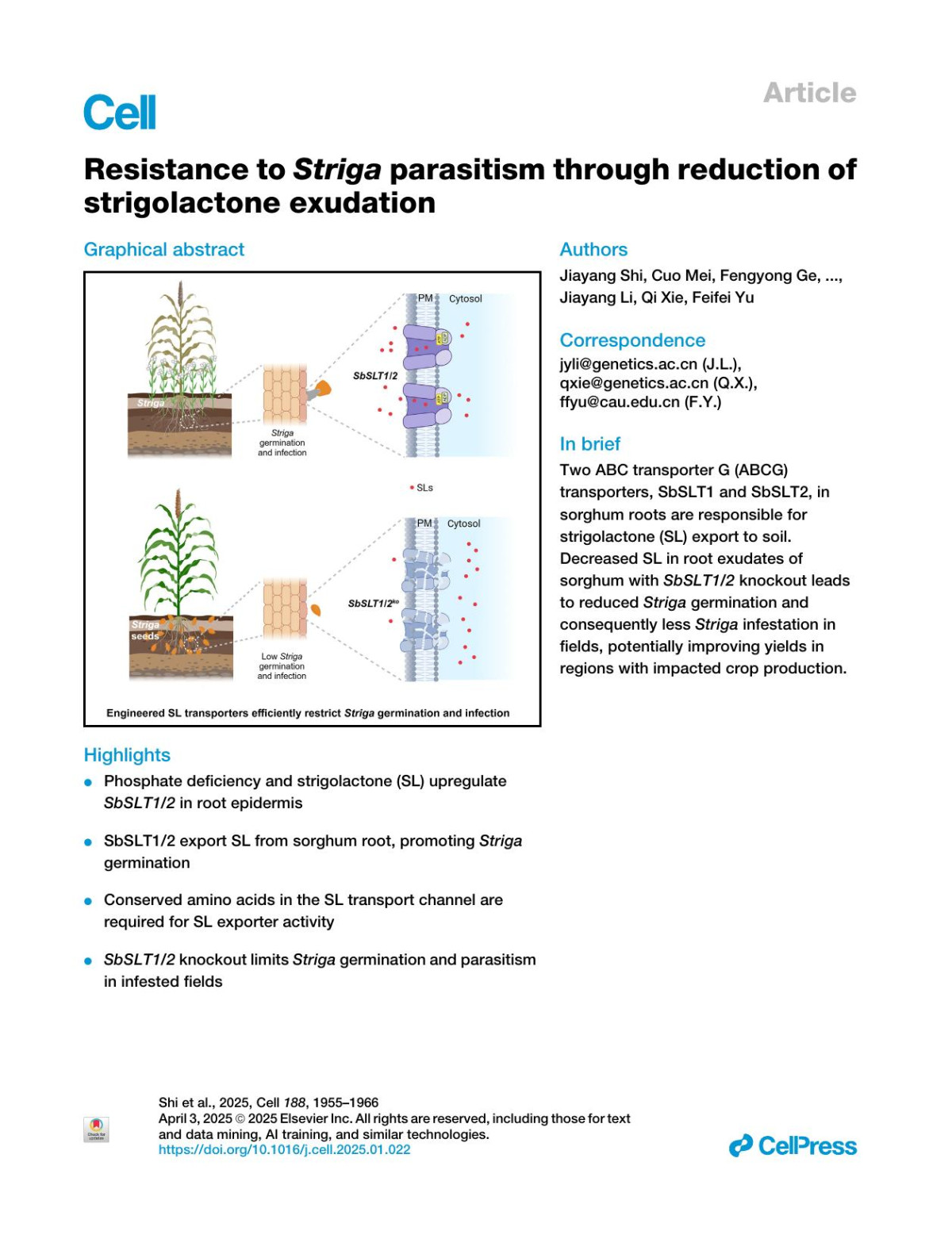 Resistance To Striga Parasitism Through Reduction Of Strigolactone Exudation Jiayang Shi Cuo Mei Fengyong Ge Qingliang Hu Xinwei Ban Ran Xia Peiyong Xin Shujing Cheng Gaohua Zhang Jiawei Nie Shiqi Zhang Xiaowei Ma Yi Wang Jinfang Chu Yuhang Chen Bing Wang Weihua Wu Jiayang Li Qi Xie Feifei Yu