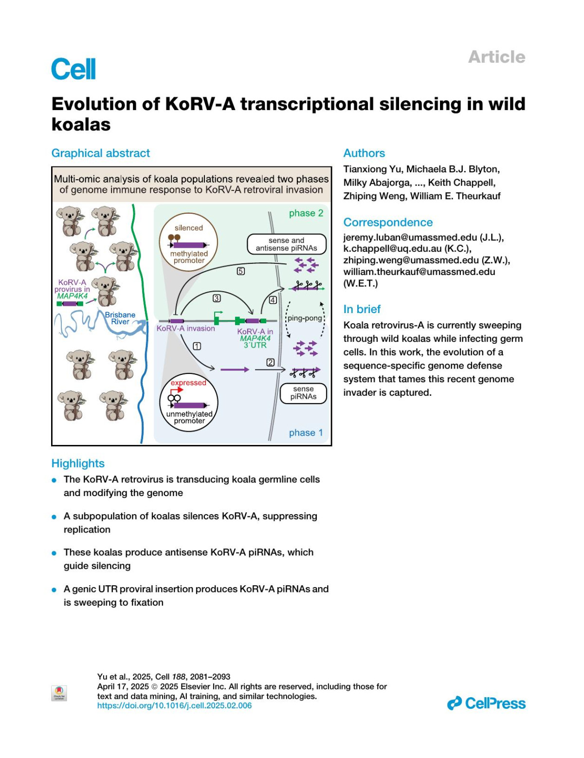 Evolution Of Korva Transcriptional Silencing In Wild Koalas Tianxiong Yu Michaela Bj Blyton Milky Abajorga Birgit S Koppetsch Samantha Ho Bo Xu Zhongren Hu Jeremy Luban Keith Chappell Zhiping Weng William E Theurkauf