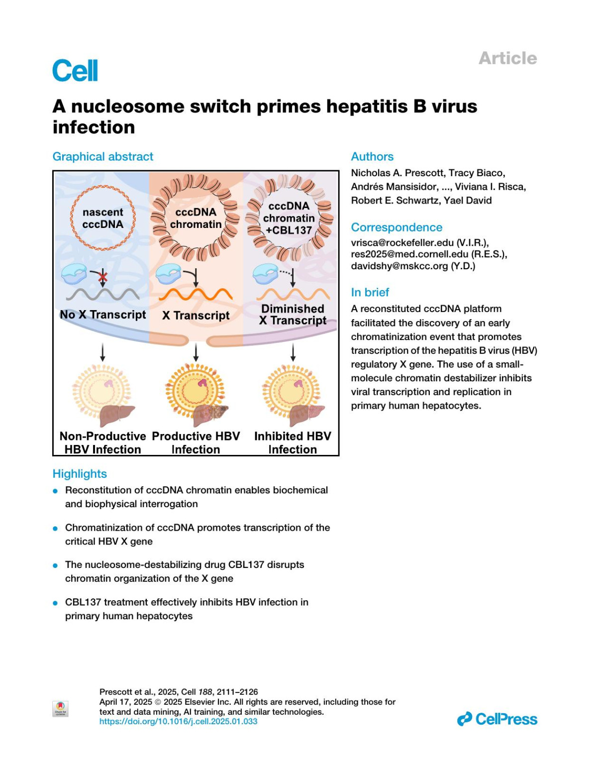 A Nucleosome Switch Primes Hepatitis B Virus Infection Nicholas A Prescott Tracy Biaco Andrés Mansisidor Yaron Bram Justin Rendleman Sarah C Faulkner Abigail A Lemmon Christine Lim Rachel Tiersky Eralda Salataj Liliana Garciamartinez Rodrigo L Borges Lluis Morey