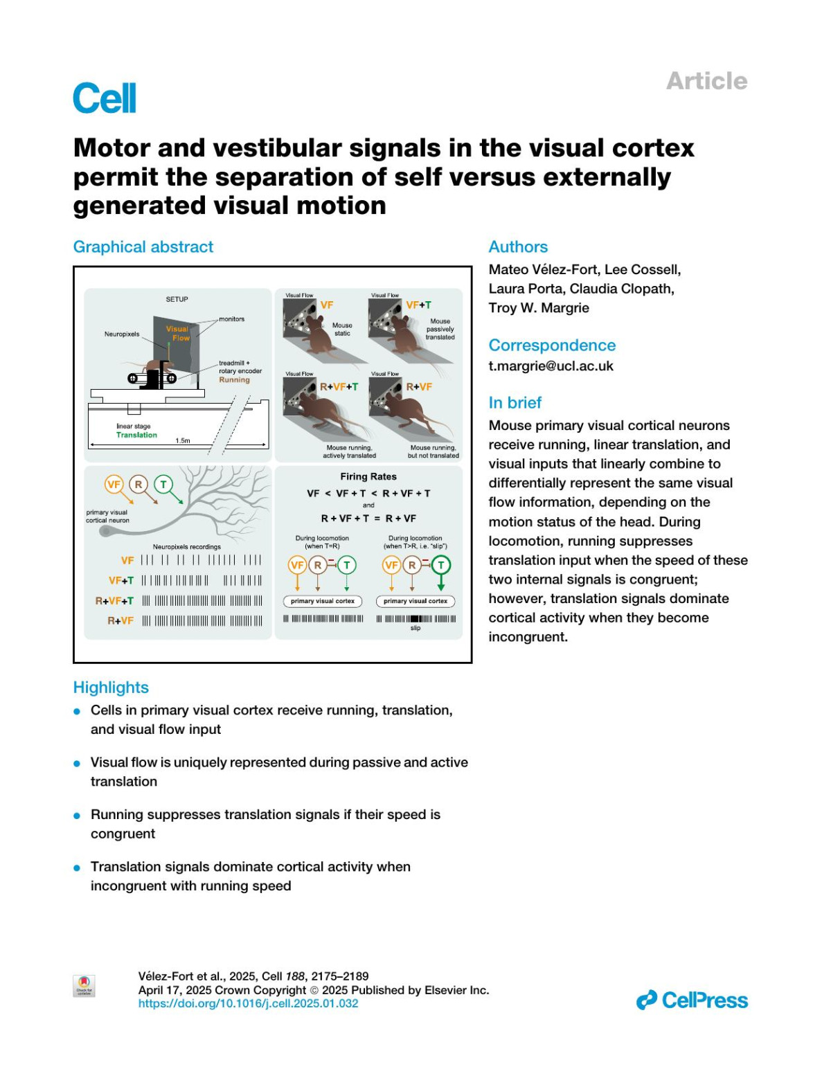 Motor And Vestibular Signals In The Visual Cortex Permit The Separation Of Self Versus Externally Generated Visual Motion Mateo Vélezfort Lee Cossell Laura Porta Claudia Clopath Troy W Margrie