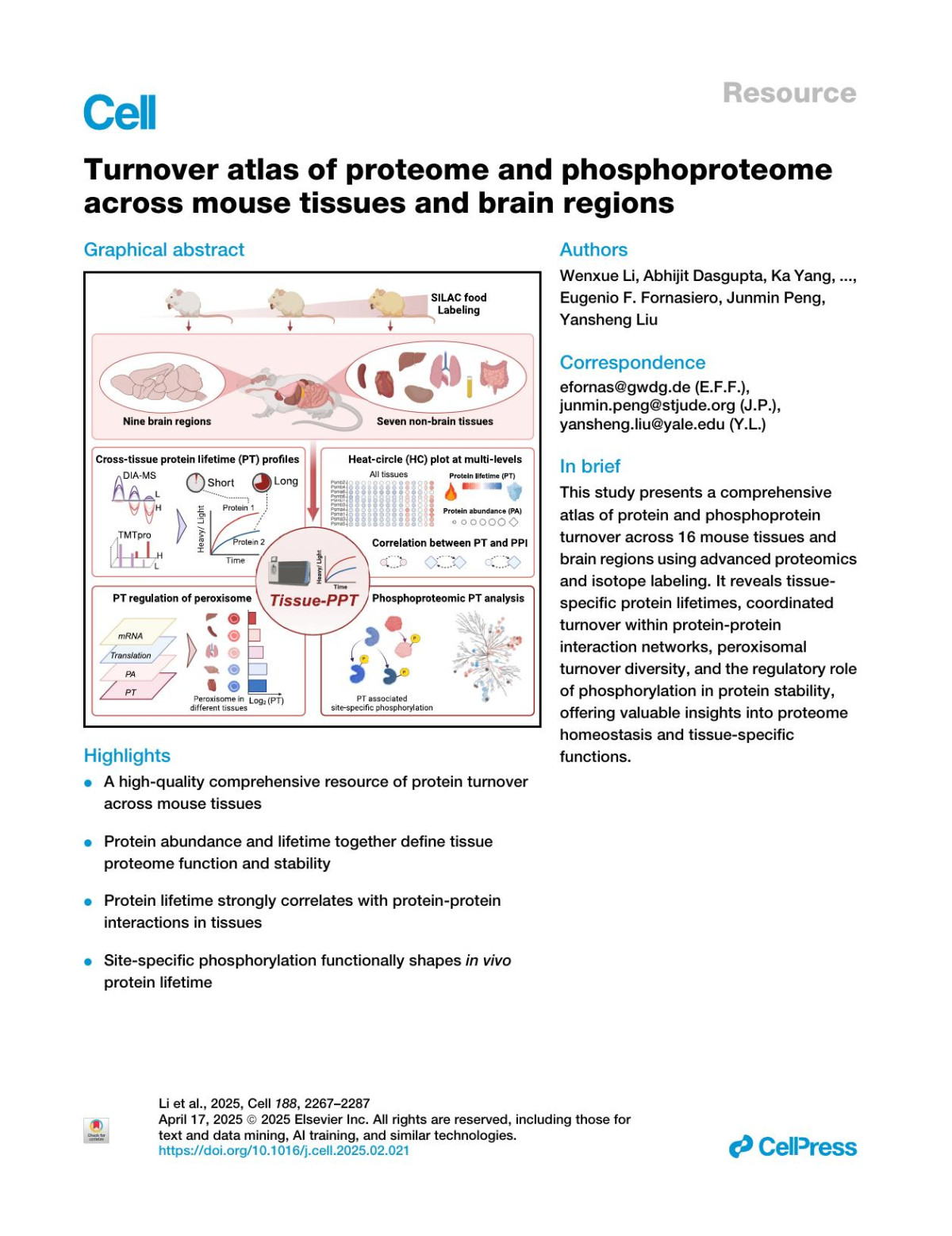 Turnover Atlas Of Proteome And Phosphoproteome Across Mouse Tissues And Brain Regions Wenxue Li Abhijit Dasgupta Ka Yang Shisheng Wang Nisha Hemandharkumar Surendhar R Chepyala Jay M Yarbro Zhenyi Hu Barbora Salovska Eugenio F Fornasiero Junmin Peng Yansheng Liu