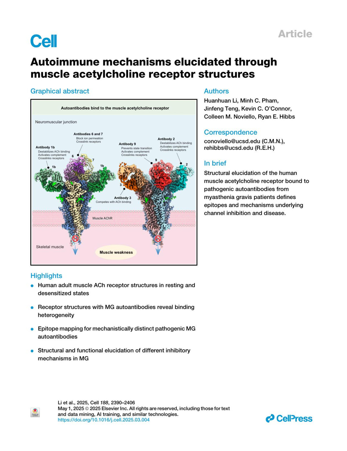 Autoimmune Mechanisms Elucidated Through Muscle Acetylcholine Receptor Structures Huanhuan Li Minh C Pham Jinfeng Teng Kevin C Oconnor Colleen M Noviello Ryan E Hibbs