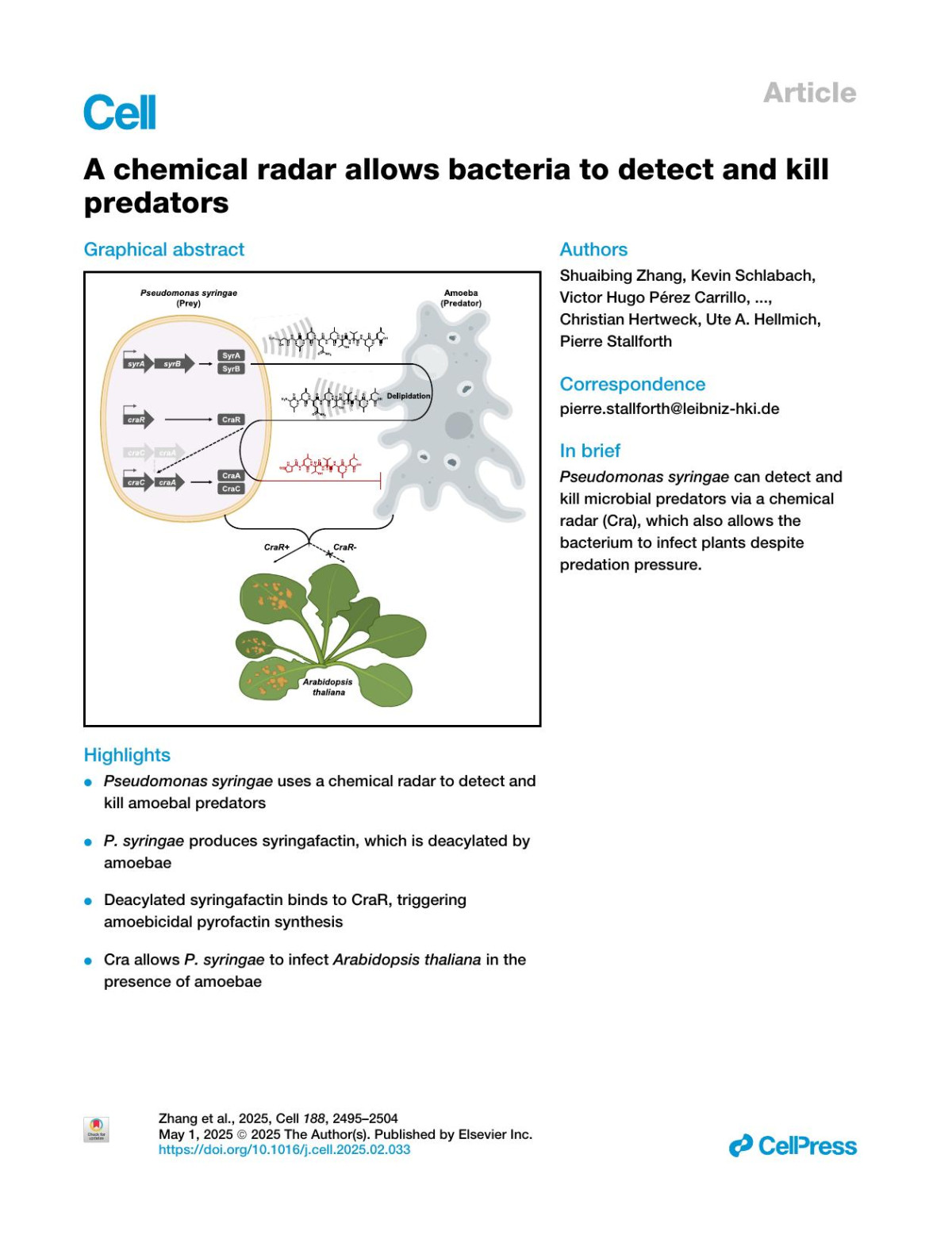 A Chemical Radar Allows Bacteria To Detect And Kill Predators Shuaibing Zhang Kevin Schlabach Victor Hugo Pérez Carrillo Anan Ibrahim Shahran Nayem Anna Komor Ruchira Mukherji Somak Chowdhury Lisa Reimer Felix Trottmann A Corina Vlot Christian Hertweck Ute A Hellmich Pierre Stallforth