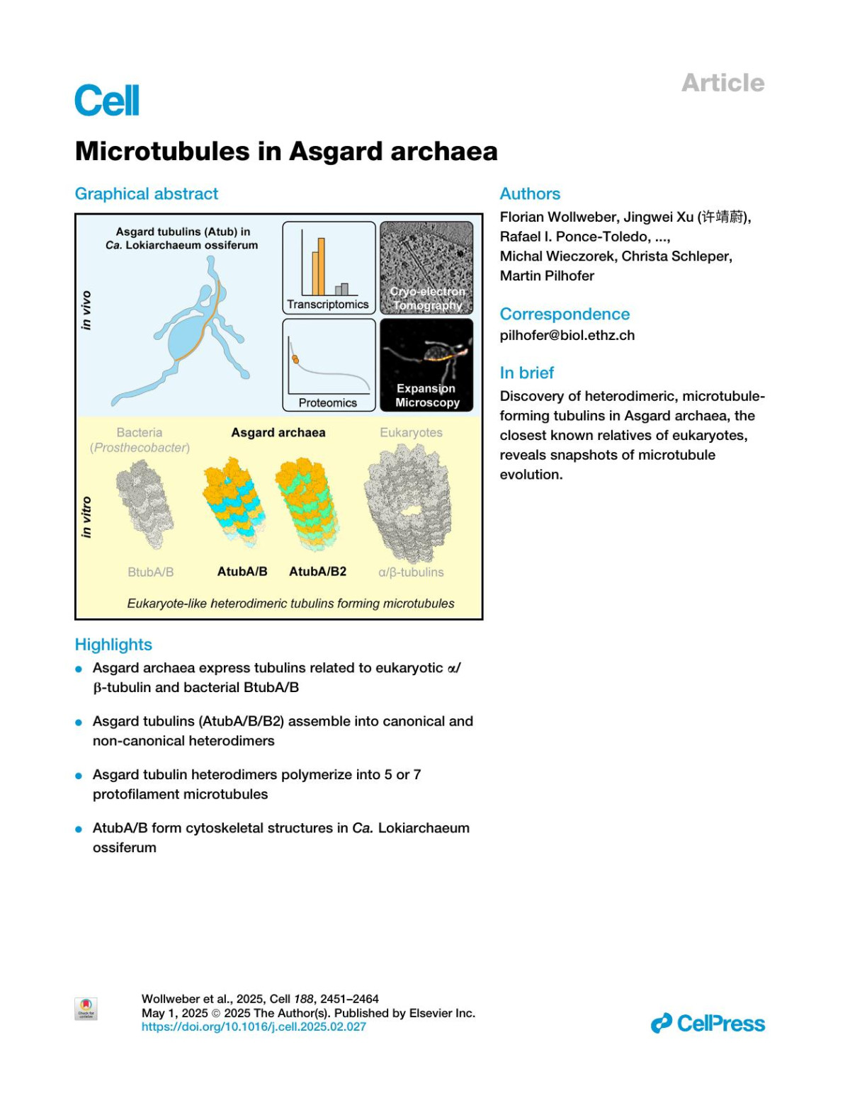 Microtubules In Asgard Archaea Florian Wollweber Jingwei Xu 许靖蔚 Rafael I Poncetoledo Florina Marxer Thiago Rodriguesoliveira Anja Pössnecker Zhenhao Luo 罗振豪 Jessie James Limlingan Malit Anastasiia Kokhanovska Michal Wieczorek Christa Schleper Martin