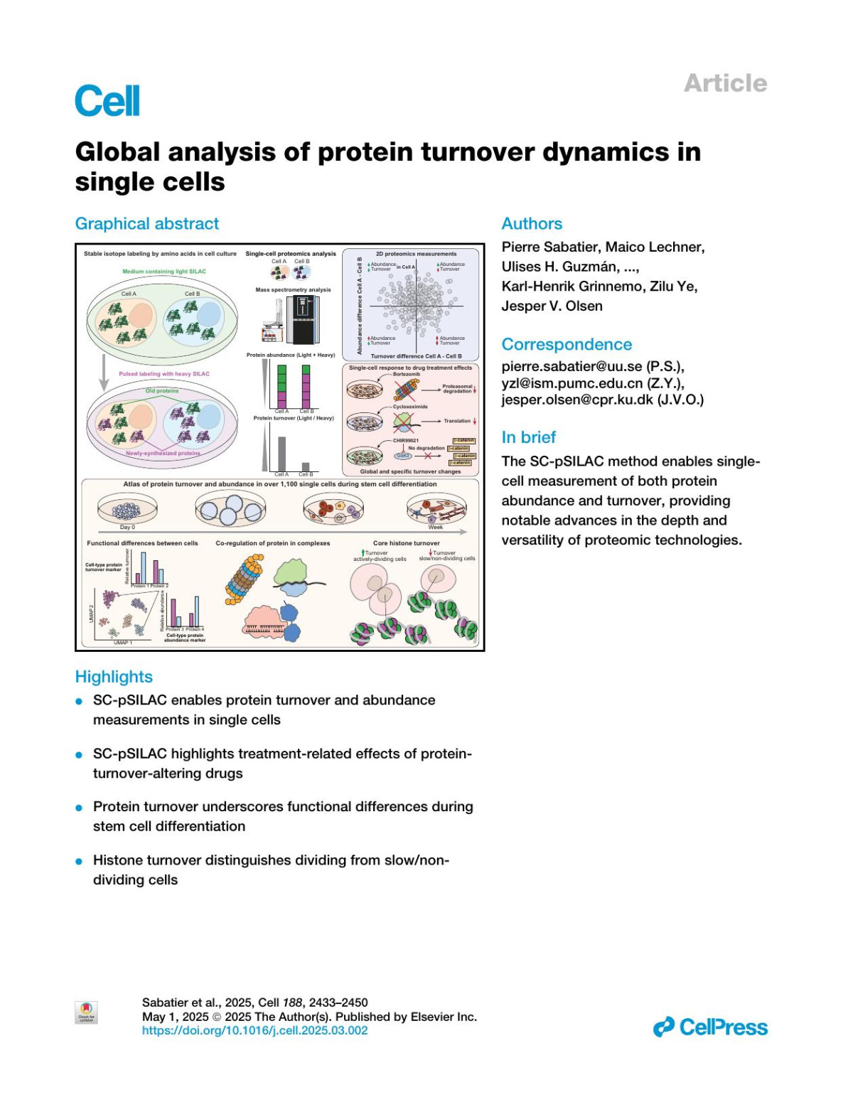 Global Analysis Of Protein Turnover Dynamics In Single Cells Pierre Sabatier Maico Lechner Ulises H Guzmán Christian M Beusch Xinlei Zeng Longteng Wang Fabiana Izaguirre Anjali Seth Olga Gritsenko Sergey Rodin Karlhenrik Grinnemo Zilu Ye Jesper V Olsen