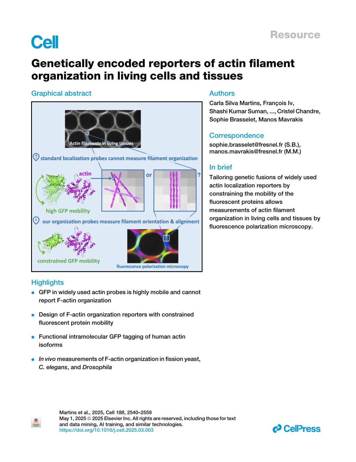 Genetically Encoded Reporters Of Actin Filament Organization In Living Cells And Tissues Carla Silva Martins François Iv Shashi Kumar Suman Thomas C Panagiotou Clara Sidor María Rusolópez Camille N Plancke Shizue Omi Rebecca Pagès Maxime Gomes Alexander Llewellyn Sourish Reddy Bandi Laurie Ramond Federica