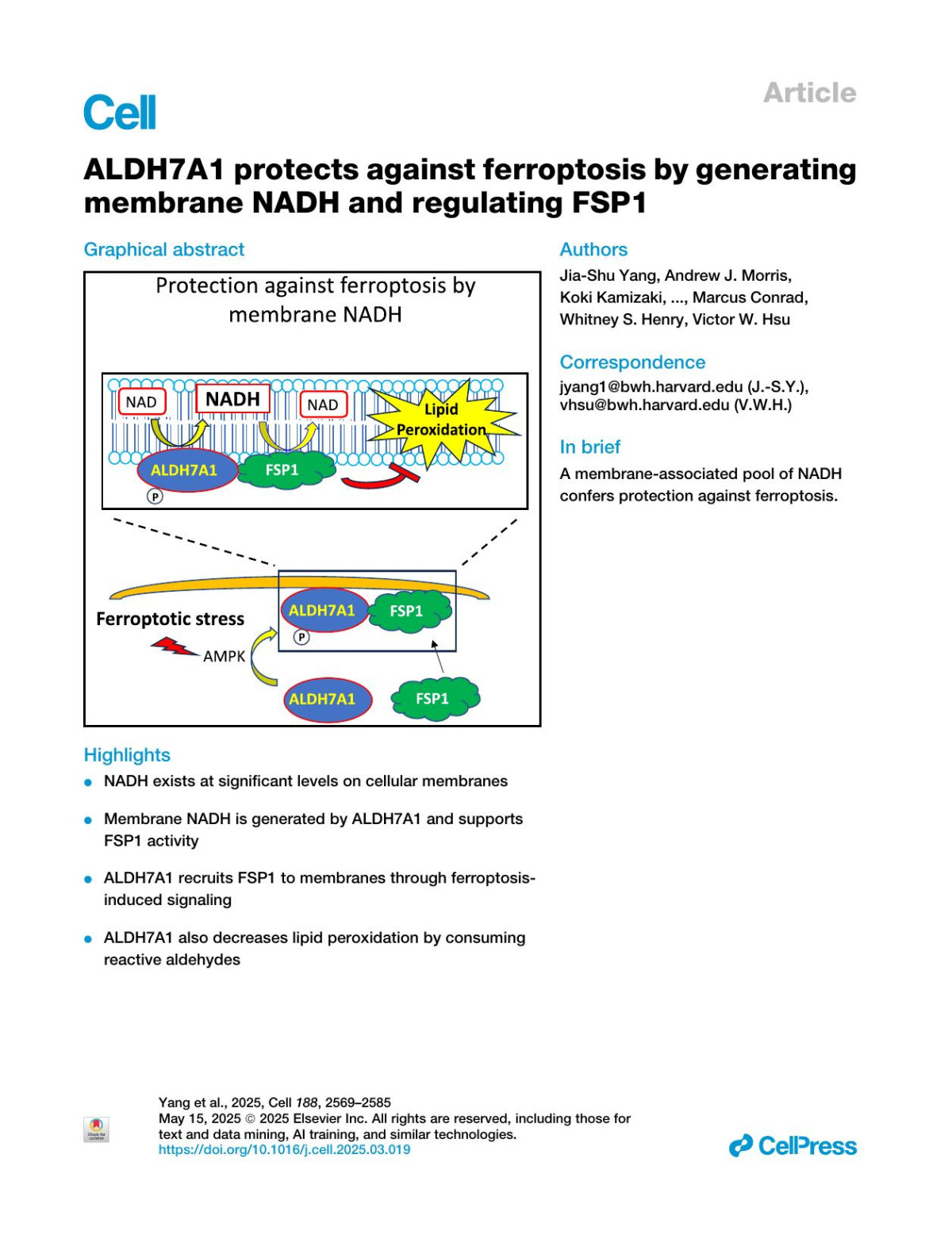 Aldh7a1 Protects Against Ferroptosis By Generating Membrane Nadh And Regulating Fsp1 Jiashu Yang Andrew J Morris Koki Kamizaki Jianzhong Chen Jillian Stark William M Oldham Toshitaka Nakamura Eikan Mishima Joseph Loscalzo Yasuhiro Minami Marcus Conrad Whitney S Henry Victor W Hsu