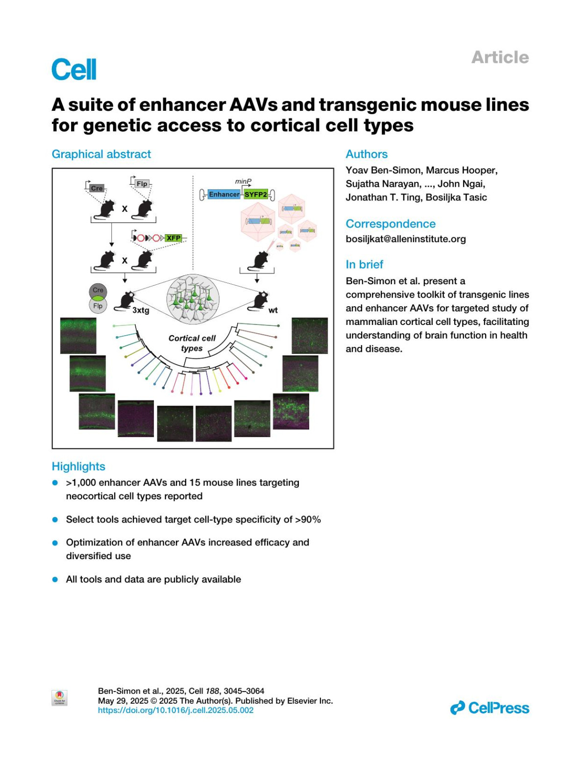 A Suite Of Enhancer Aavs And Transgenic Mouse Lines For Genetic Access To Cortical Cell Types Yoav Bensimon Marcus Hooper Sujatha Narayan Tanya L Daigle Deepanjali Dwivedi Sharon W Way Aaron Oster David A Stafford John K Mich Michael J Taormina Refugio A Martinez Ximena Opitzaraya Jada R Roth Jason R