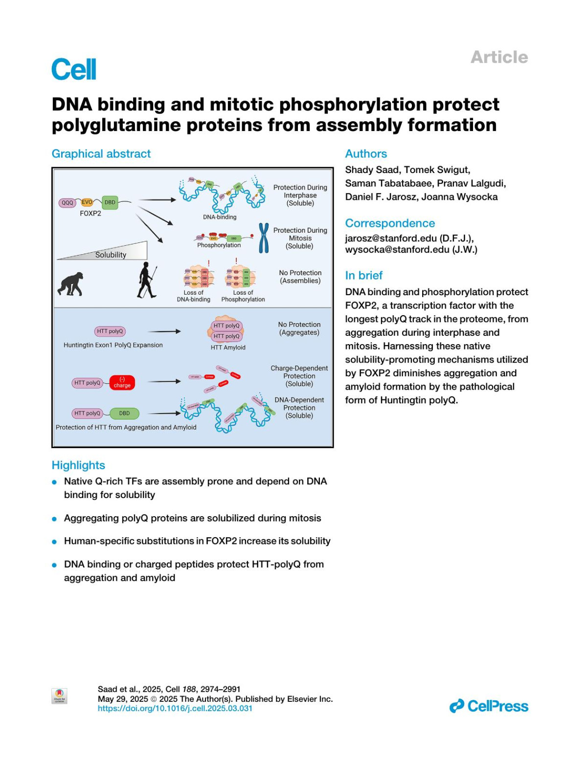 Dna Binding And Mitotic Phosphorylation Protect Polyglutamine Proteins From Assembly Formation Shady Saad Tomek Swigut Saman Tabatabaee Pranav Lalgudi Daniel F Jarosz Joanna Wysocka