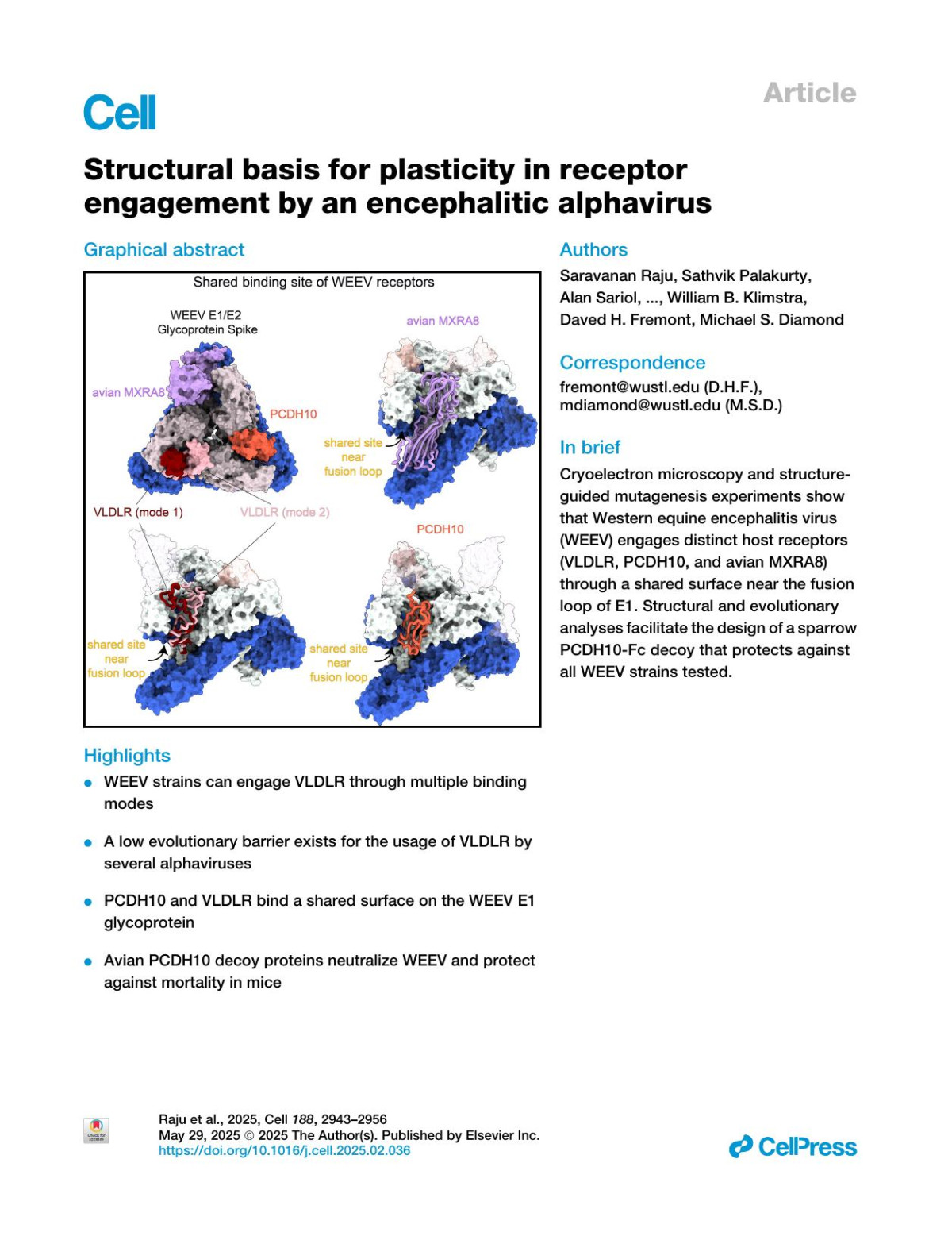 Structural Basis For Plasticity In Receptor Engagement By An Encephalitic Alphavirus Saravanan Raju Sathvik Palakurty Alan Sariol Ngan Wagoner Lucas J Adams Sean Hui William B Klimstra Daved H Fremont Michael S Diamond