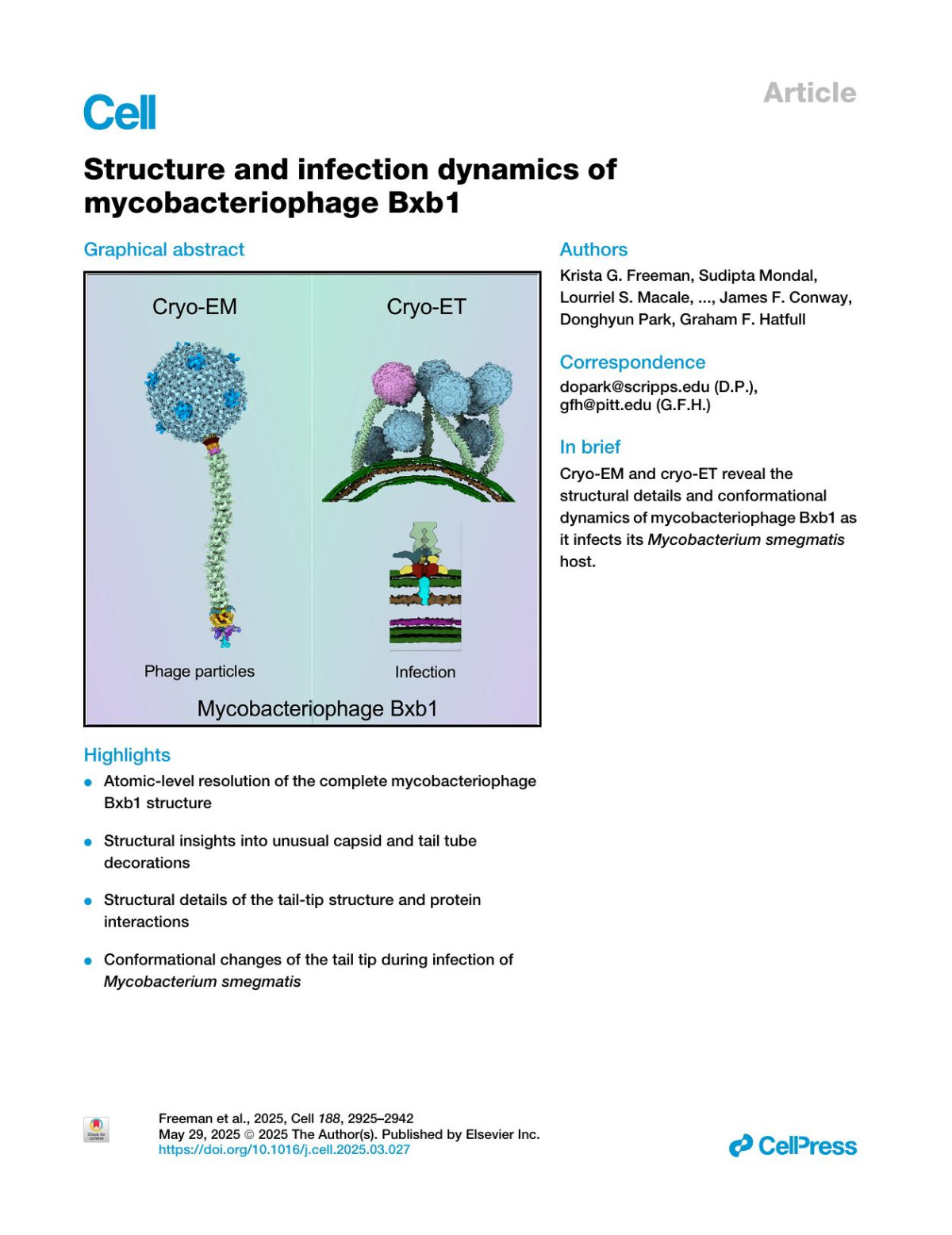 Structure And Infection Dynamics Of Mycobacteriophage Bxb1 Krista G Freeman Sudipta Mondal Lourriel S Macale Jennifer Podgorski Simon J White Benjamin H Silva Valery Ortiz Alexis Huet Ronelito J Perez Joemark T Narsico Mengchiao Ho Deborah Jacobssera Todd L Lowary James F