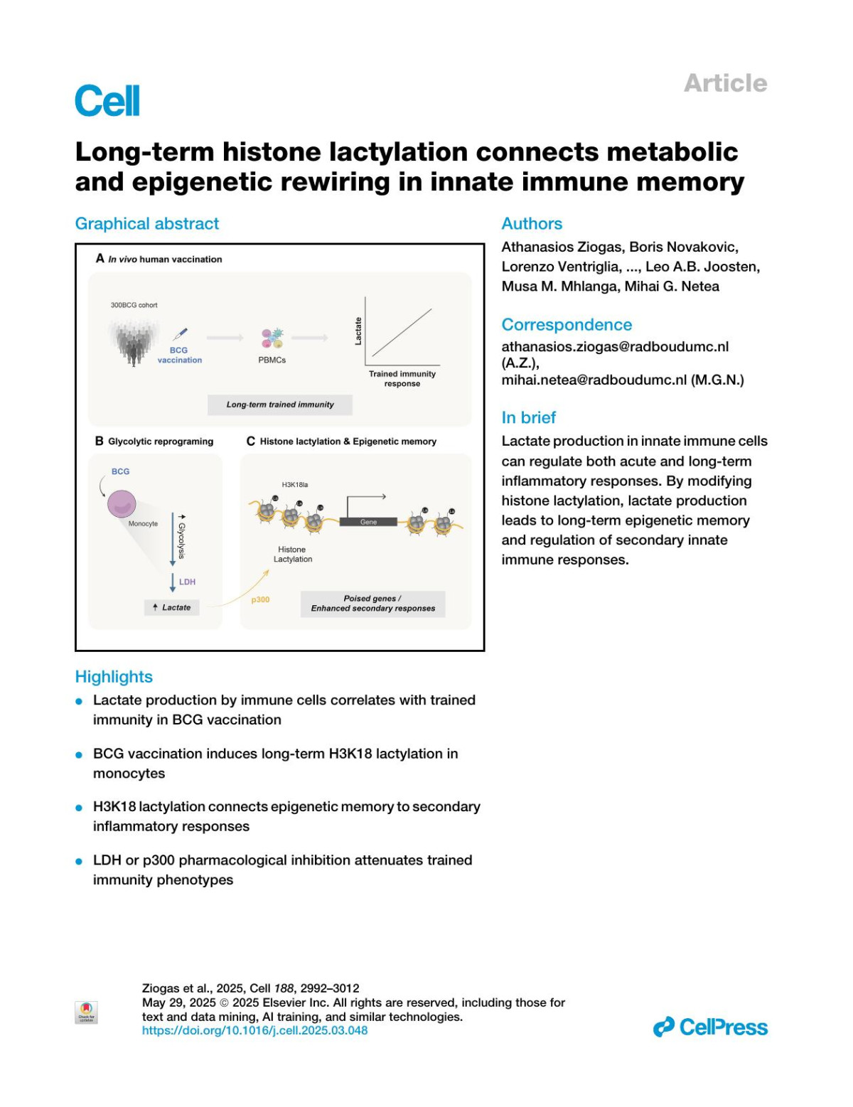 Longterm Histone Lactylation Connects Metabolic And Epigenetic Rewiring In Innate Immune Memory Athanasios Ziogas Boris Novakovic Lorenzo Ventriglia Noriko Galang Kim A Tran Wenchao Li Vasiliki Matzaraki Nienke Van Unen Titus Schlüter Anaísa V Ferreira Simone Jcfm Moorlag Valerie Acm Koeken Mthabisi Moyo Xiaolin