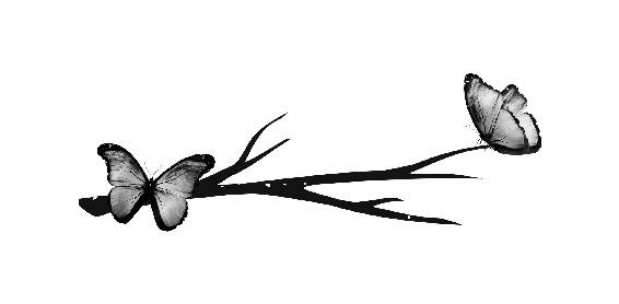 Butterflies That Never Die Legend Of The Heirs Book 1 Aldara Thomas