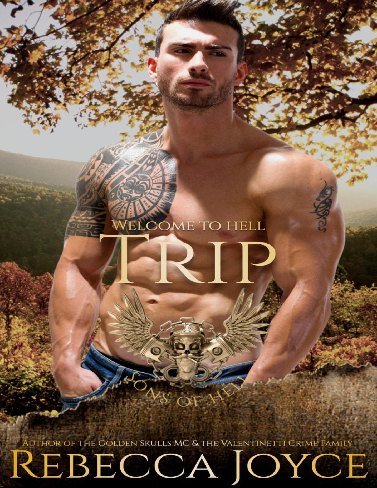 Trip Sons Of Hell Mc Sons Of Hell Mc Book 11 Rebecca Joyce