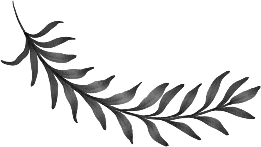 Hidden While In Sight Wicked Defenders Amber Warden