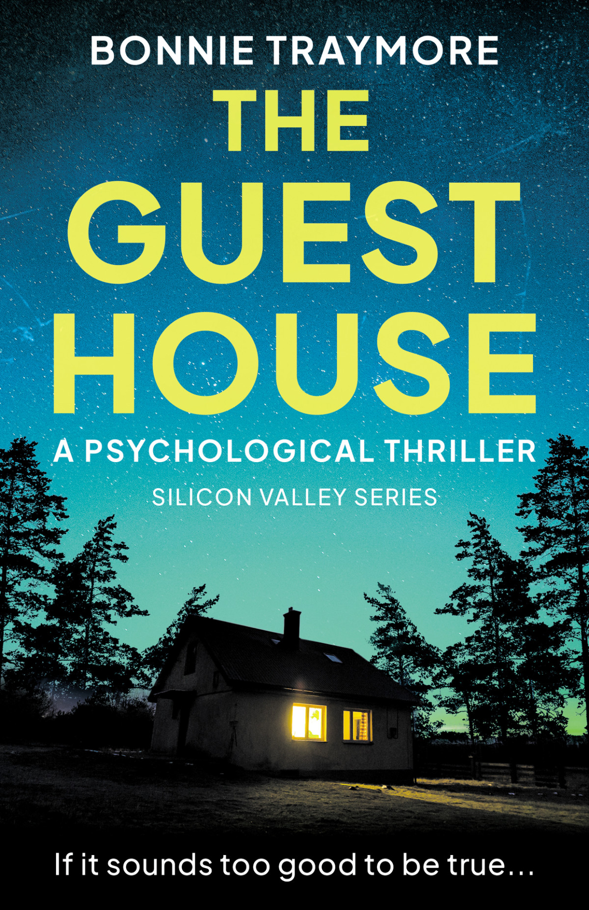 Silicon Valley Series 02 The Guest House Traymore Bonnie