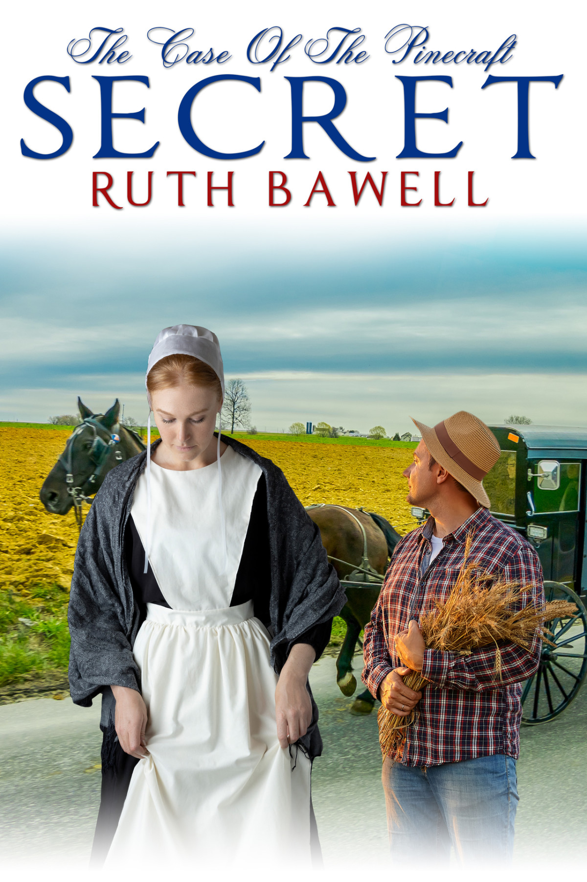 Pinecraft Mysteries 18 The Case Of The Pinecraft Secret Bawell