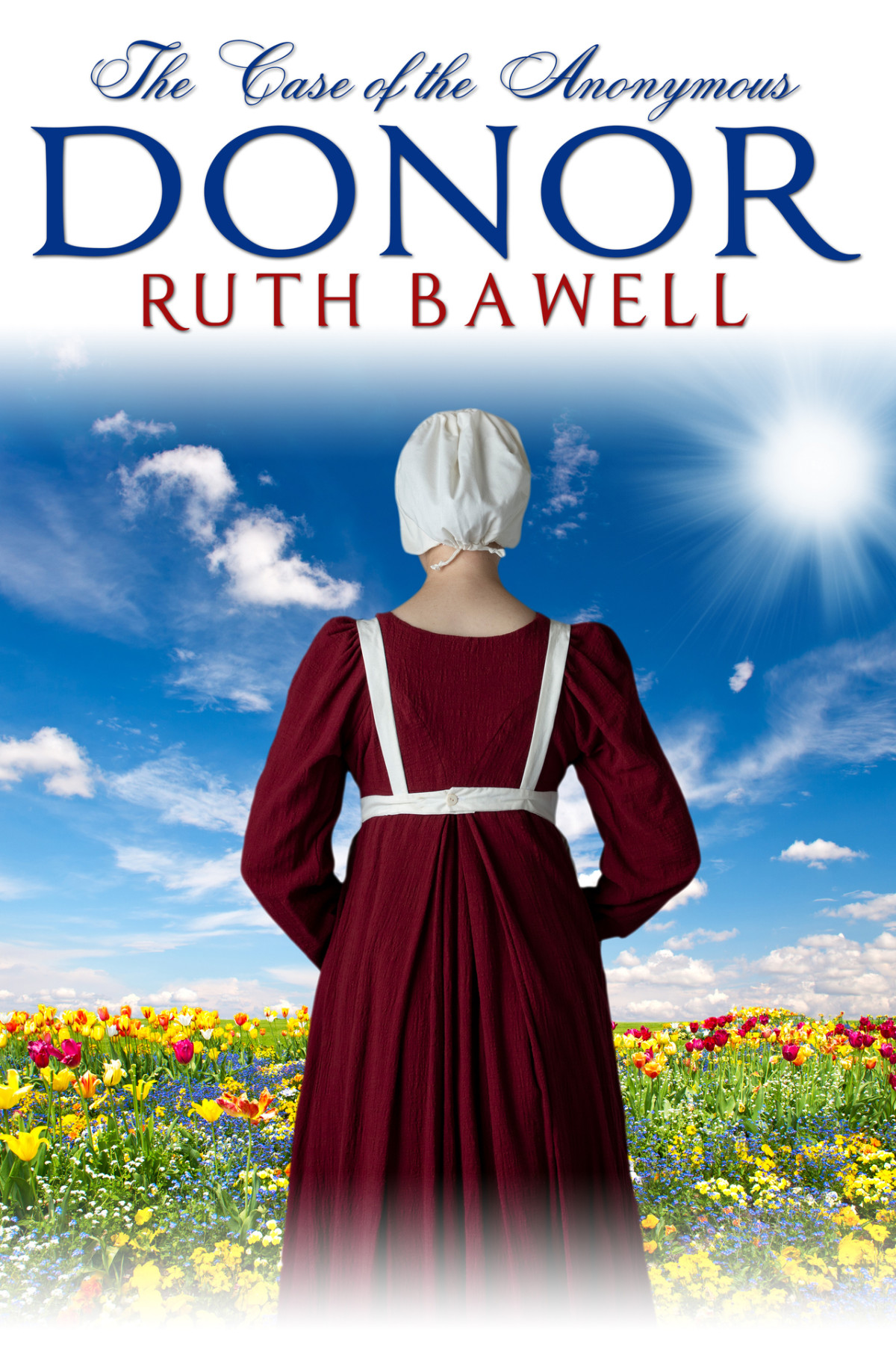 Pinecraft Mysteries 14 The Case Of The Anonymous Donor Bawell