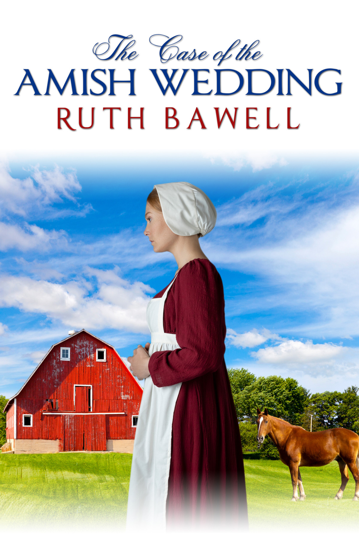 Pinecraft Mysteries 12 The Case Of The Amish Wedding Bawell Ruth
