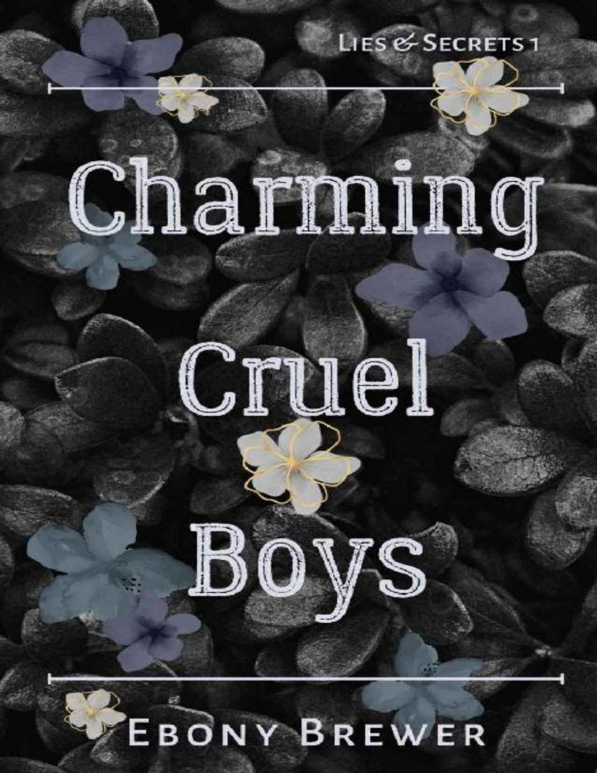 Charming Cruel Boys Lies Secrets Duet Book 1 Ebony Brewer