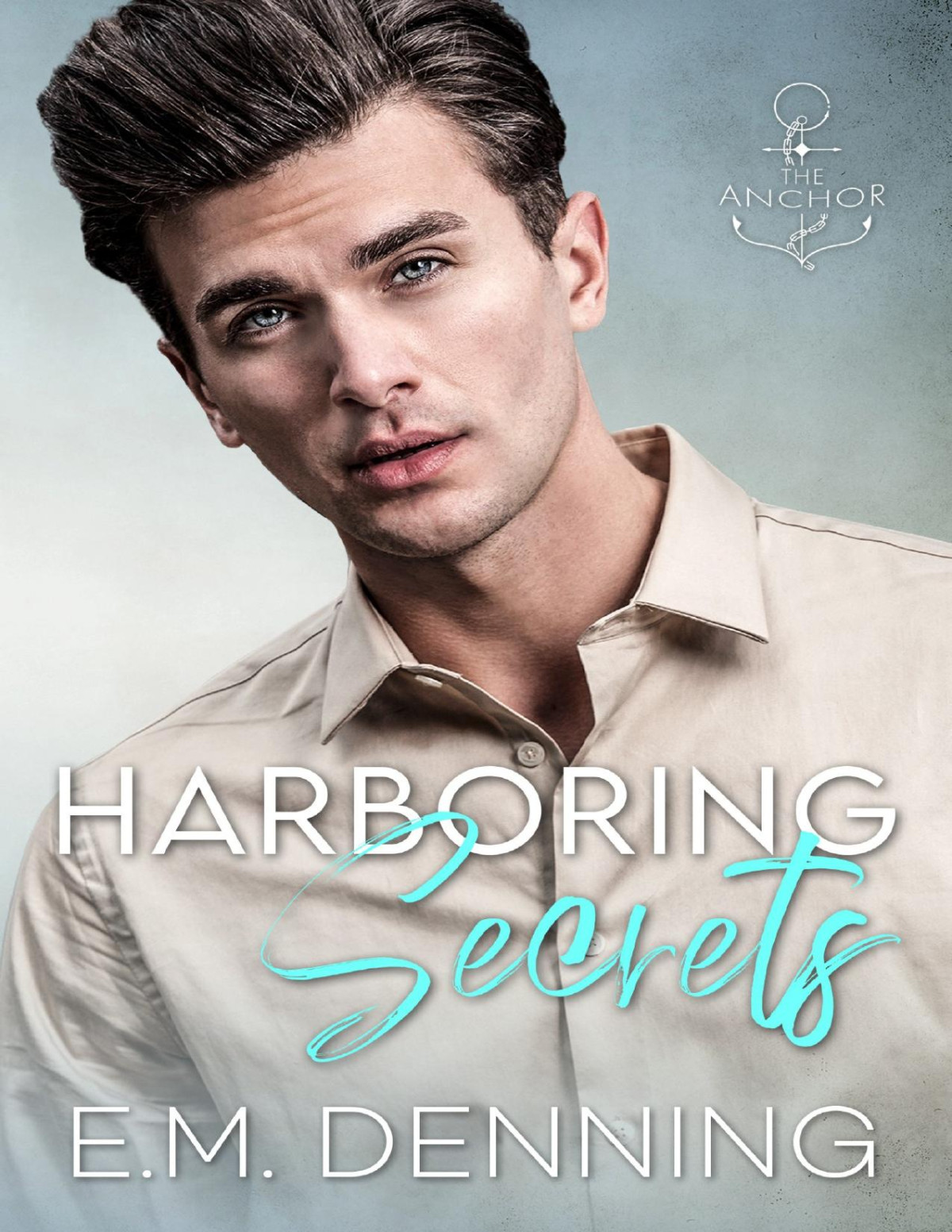Harboring Secrets The Anchor Book 3 Em Denning