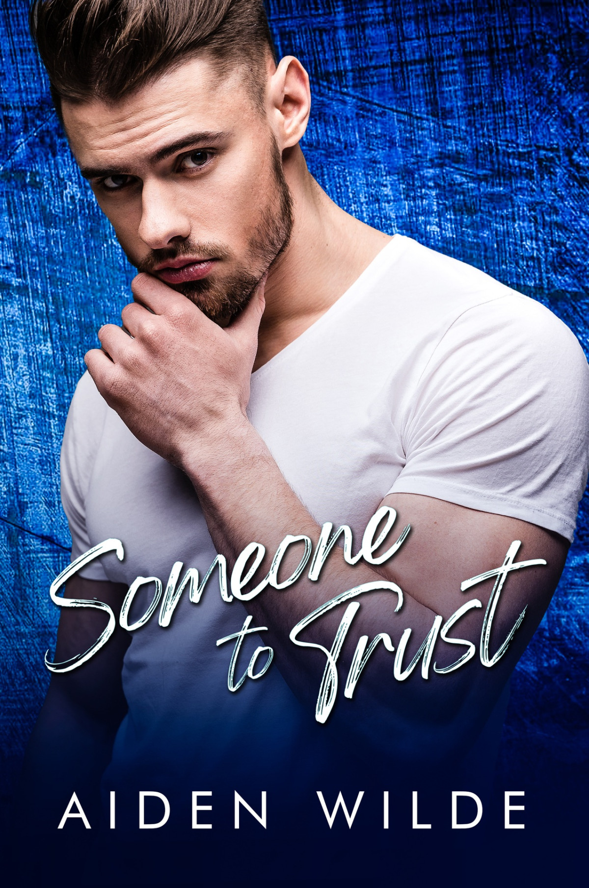 Someone To Trust A Sweet Gay For You Biawakening Mm Romance Straight Friends Fall In Love Book 3 Aiden Wilde