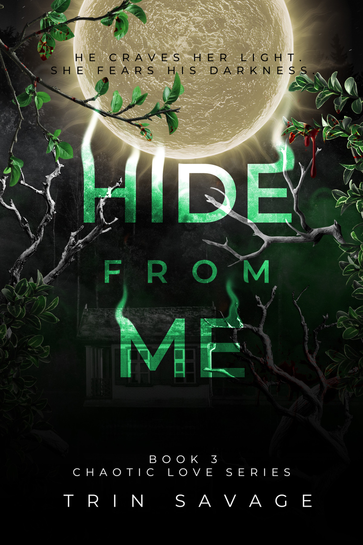 Chaotic Love 3 Hide From Me Trin Savage