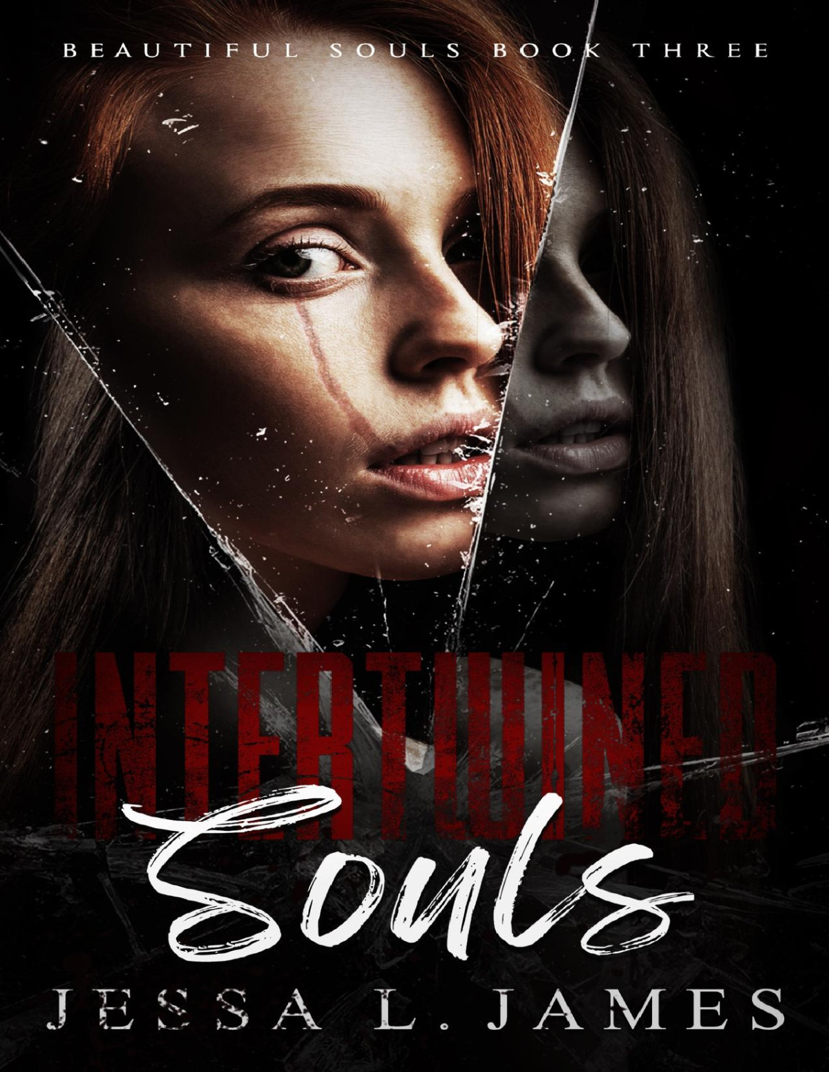 Intertwined Souls A Dark Why Choose Romance Beautiful Souls Book 3 Jessa L James