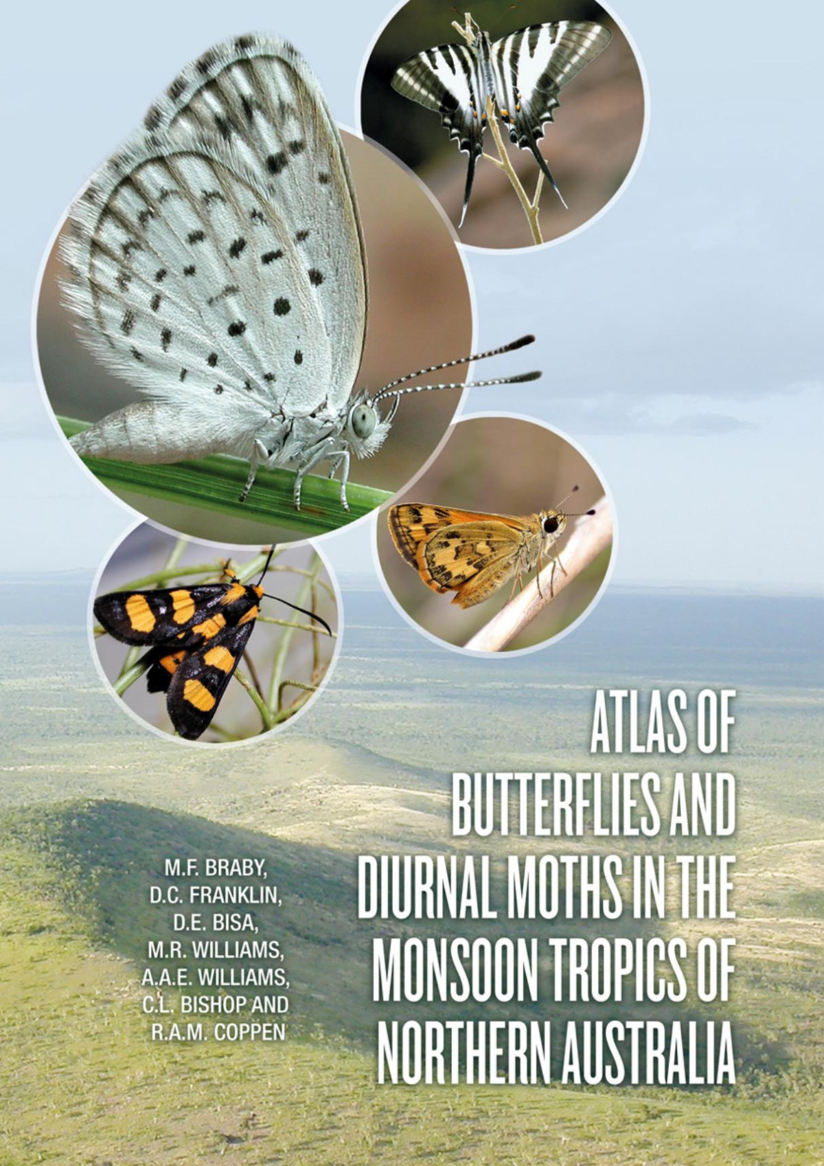 Atlas Of Butterflies And Diurnal Moths In The Monsoon Tropics Of Northern Australia Mf Braby