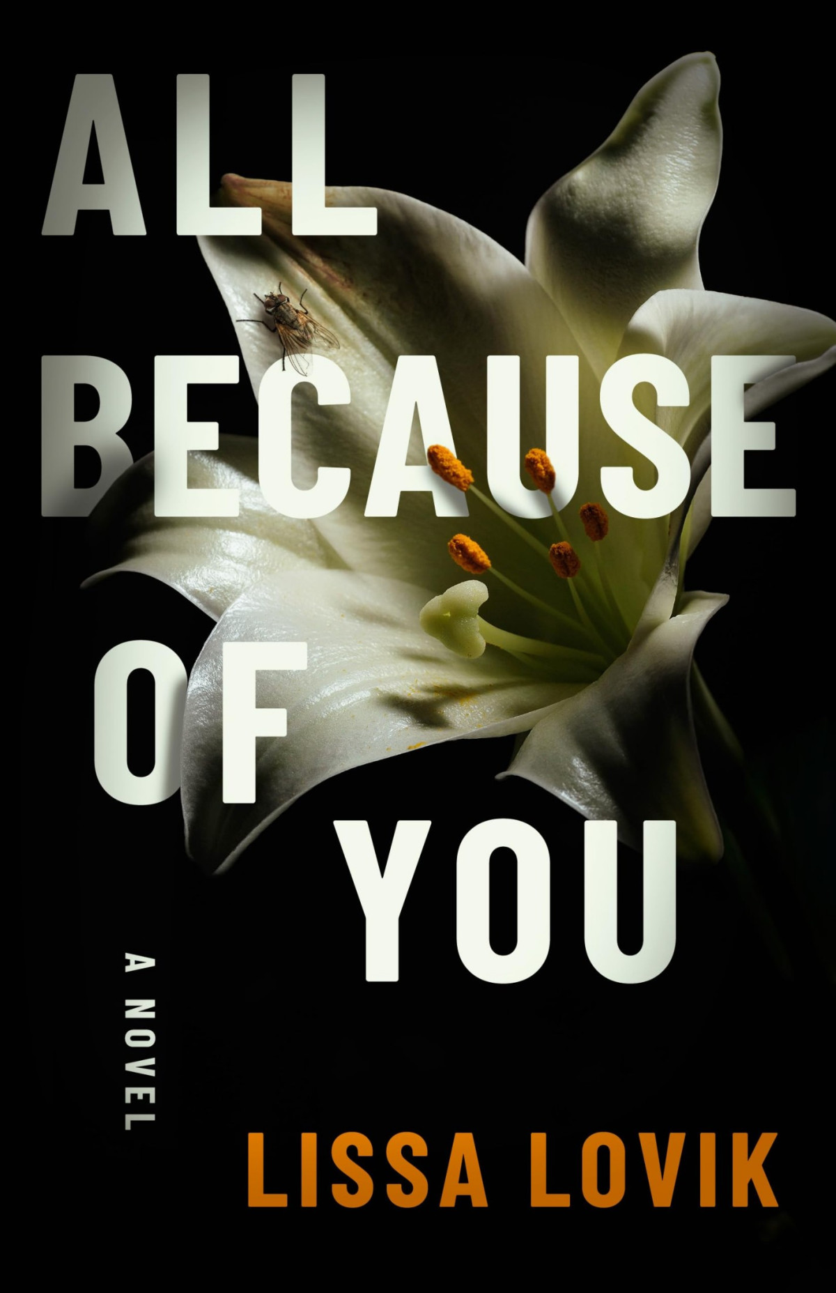 All Because Of You Lissa Lovik