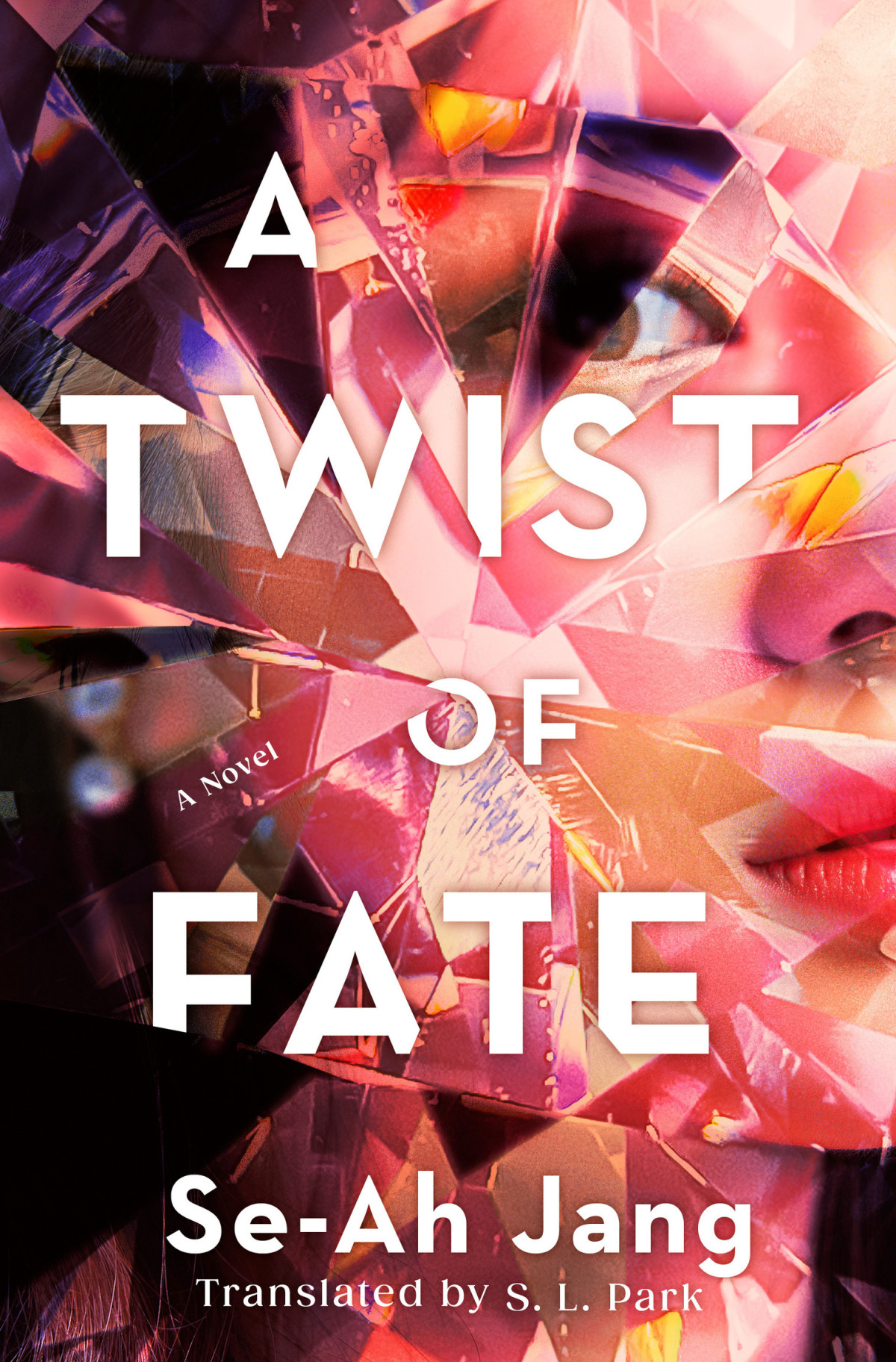 A Twist Of Fate A Novel Seah Jang