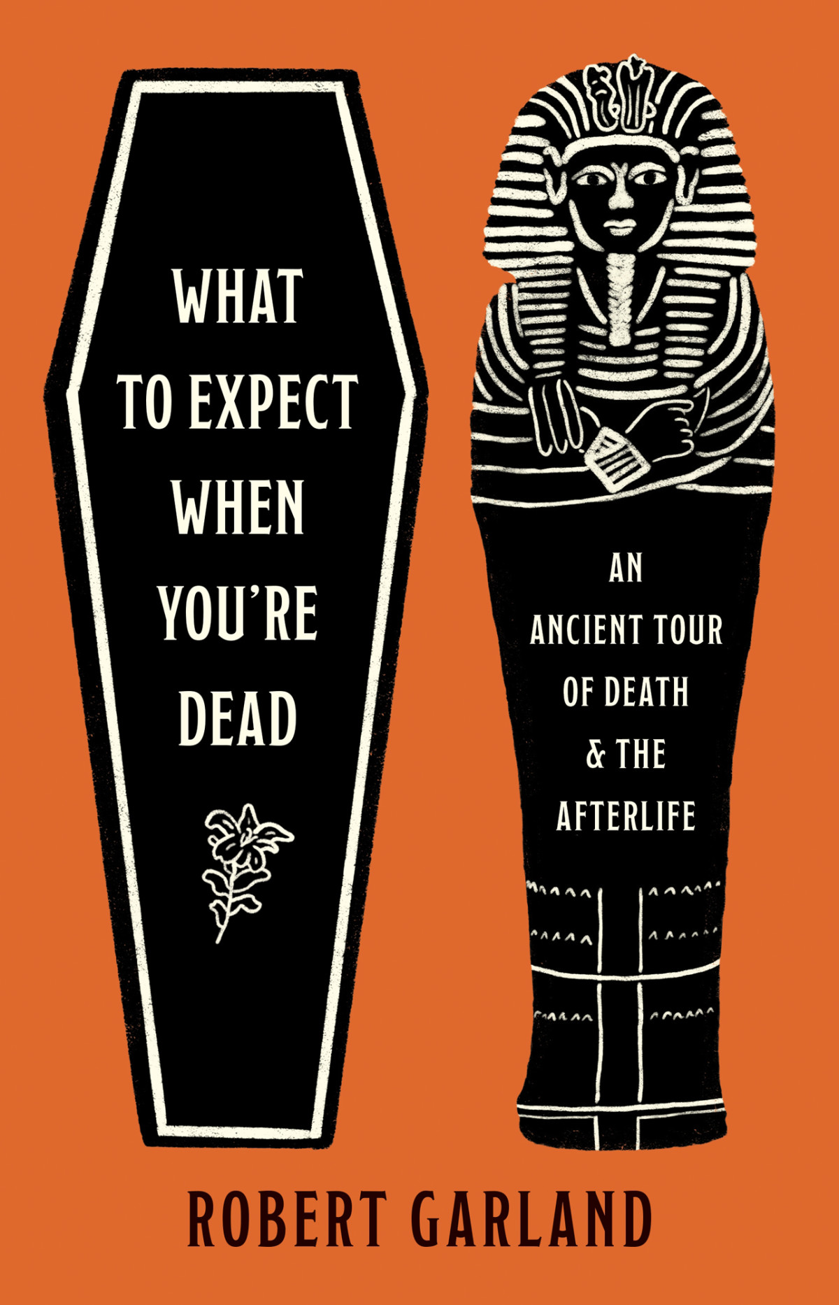 What To Expect When Youre Dead An Ancient Tour Of Death And The Afterlife Robert Garland