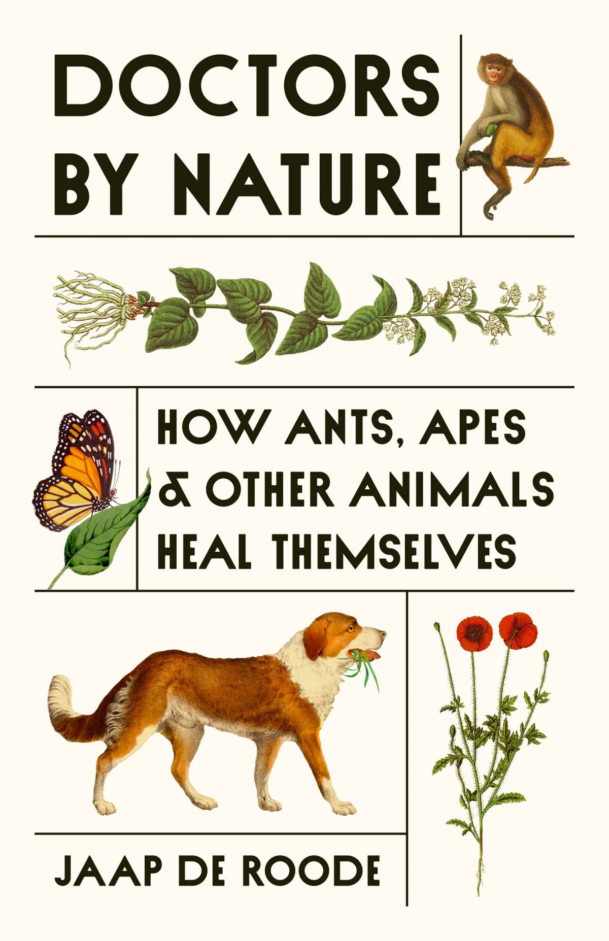 Doctors By Nature How Ants Apes And Other Animals Heal Themselves Jaap De Roode