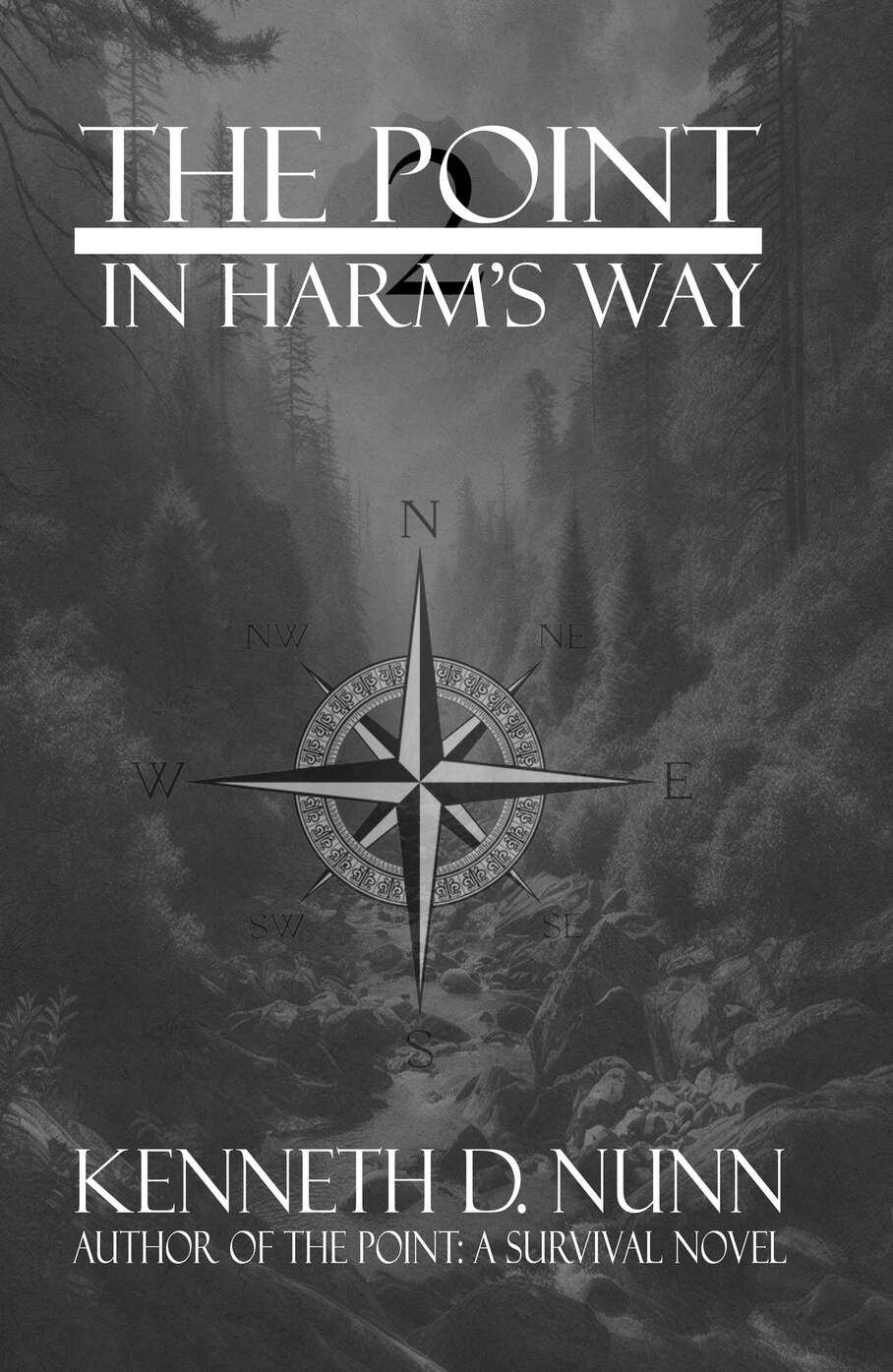 The Point In Harms Way Nunn Kenneth D
