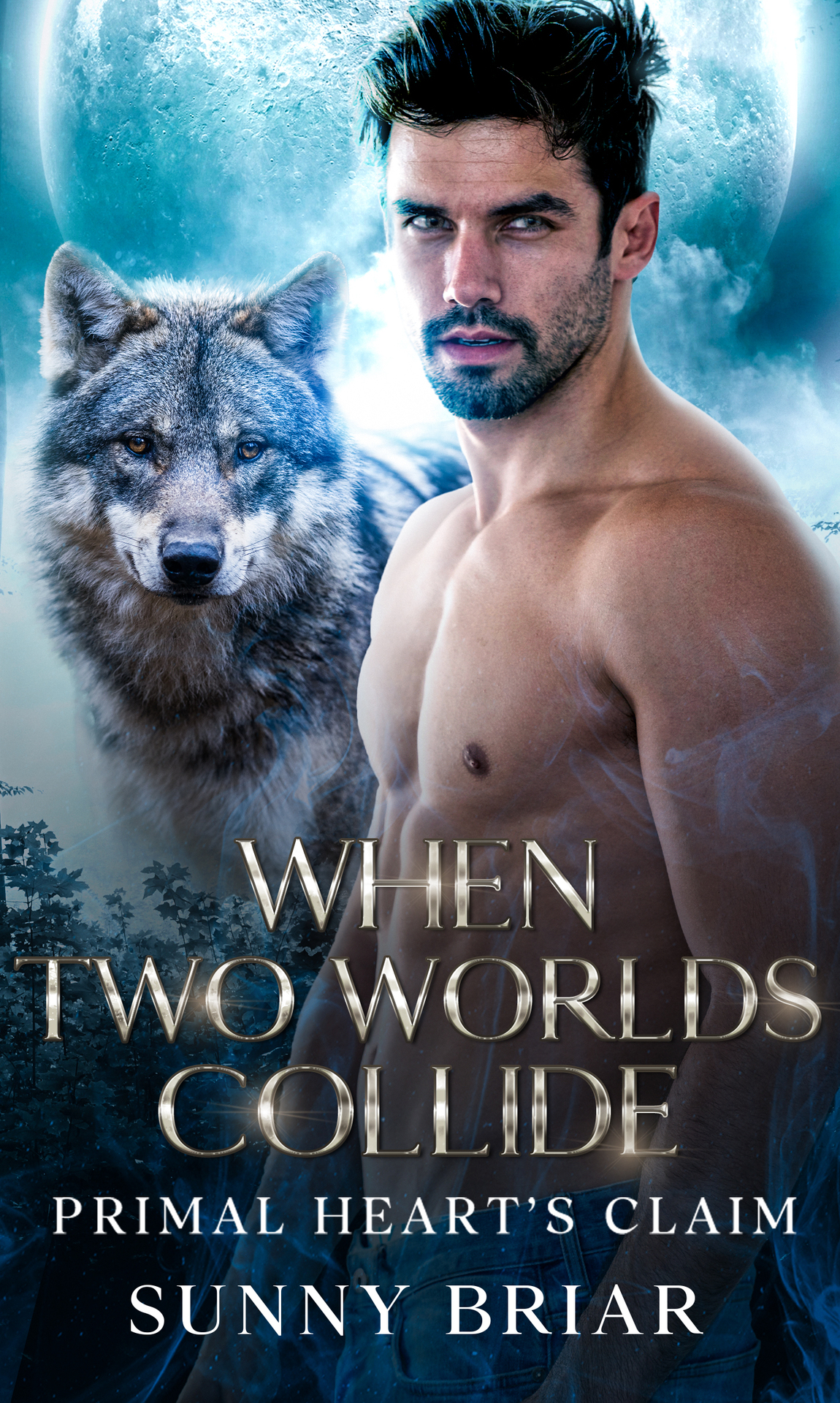 When Two Worlds Collide Primal Hearts Claim Fated Mates Stubborn Hearts A Wild Territories Shifter Romance Series Book 1 Sunny Briar