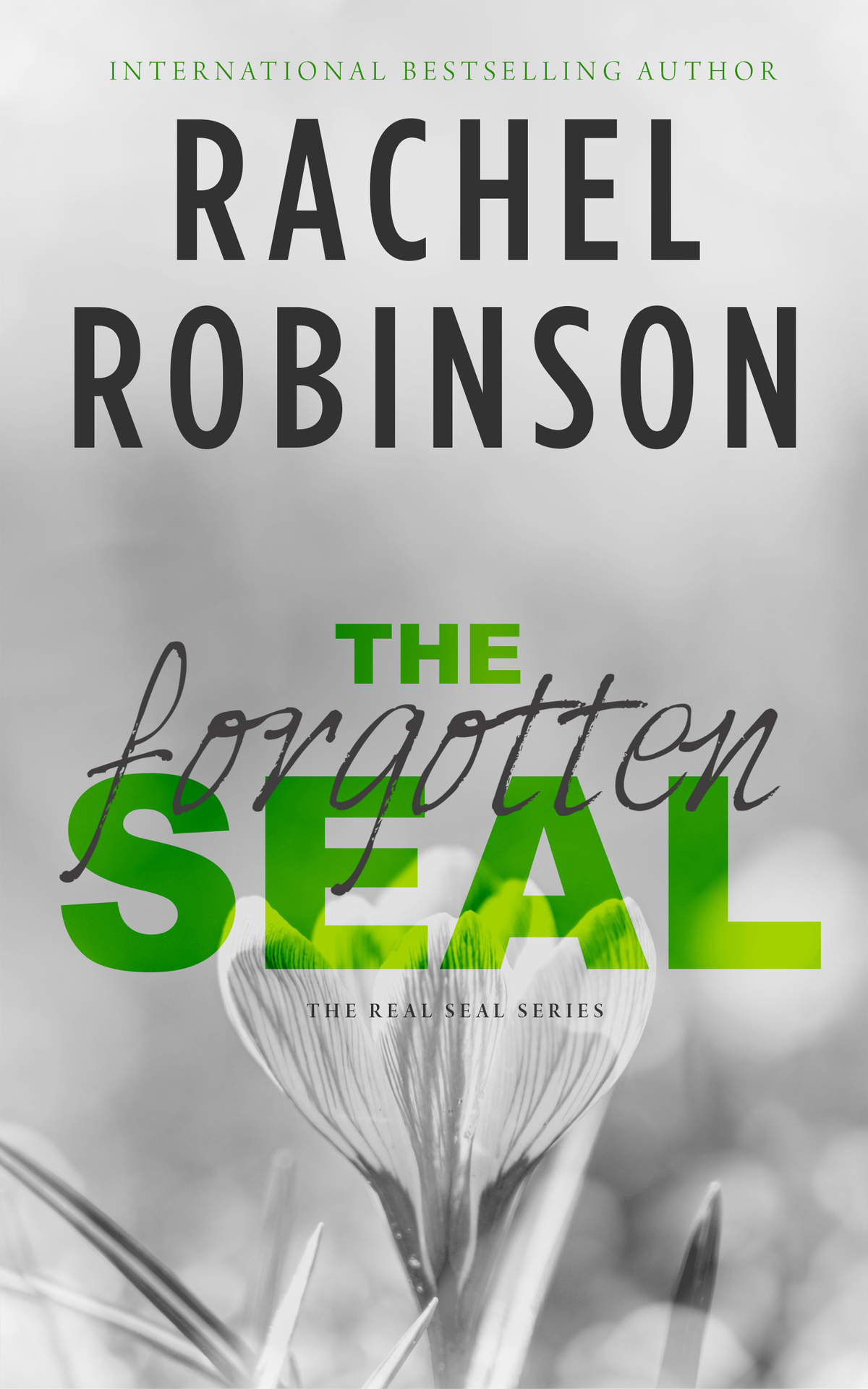 The Forgotten Seal A Friends To Lovers Military Romance The Real Seal Book 1 Rachel Robinson
