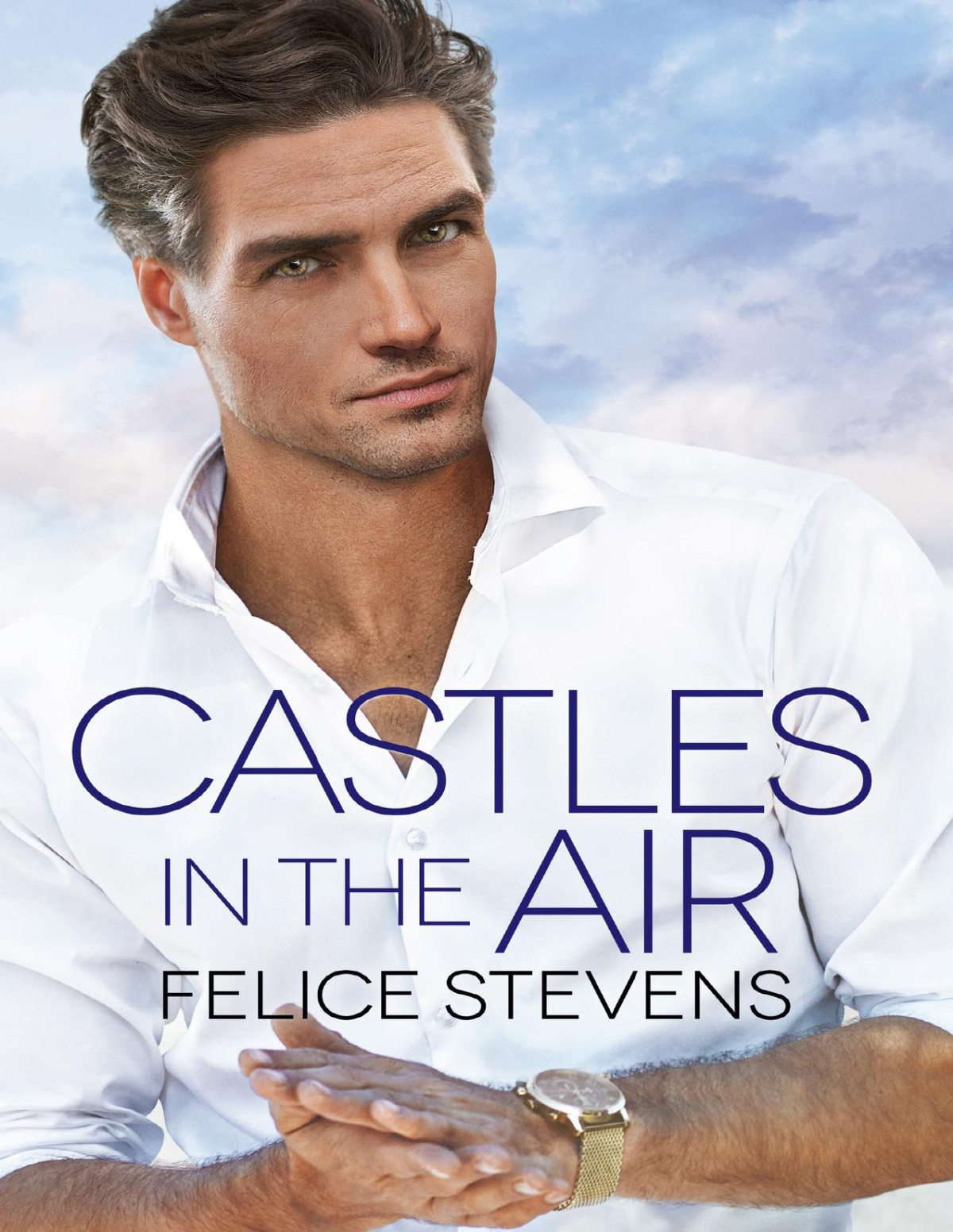Castles In The Air Felice Stevens
