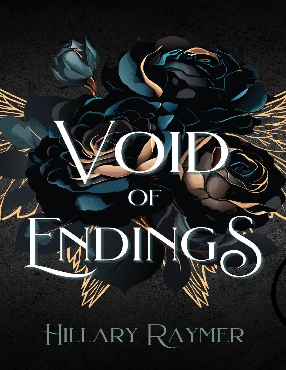 Void Of Endings The Faeven Saga Book 4 Hillary Raymer