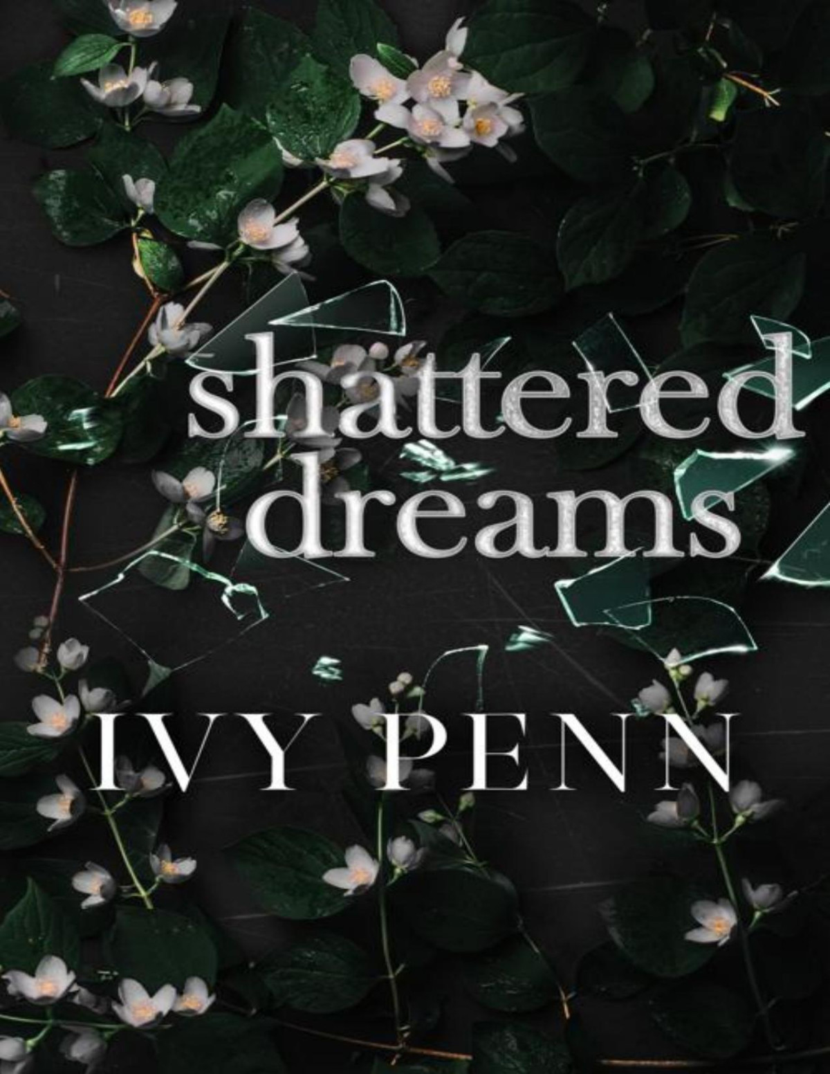 Shattered Dreams Port Stella Ivy Penn