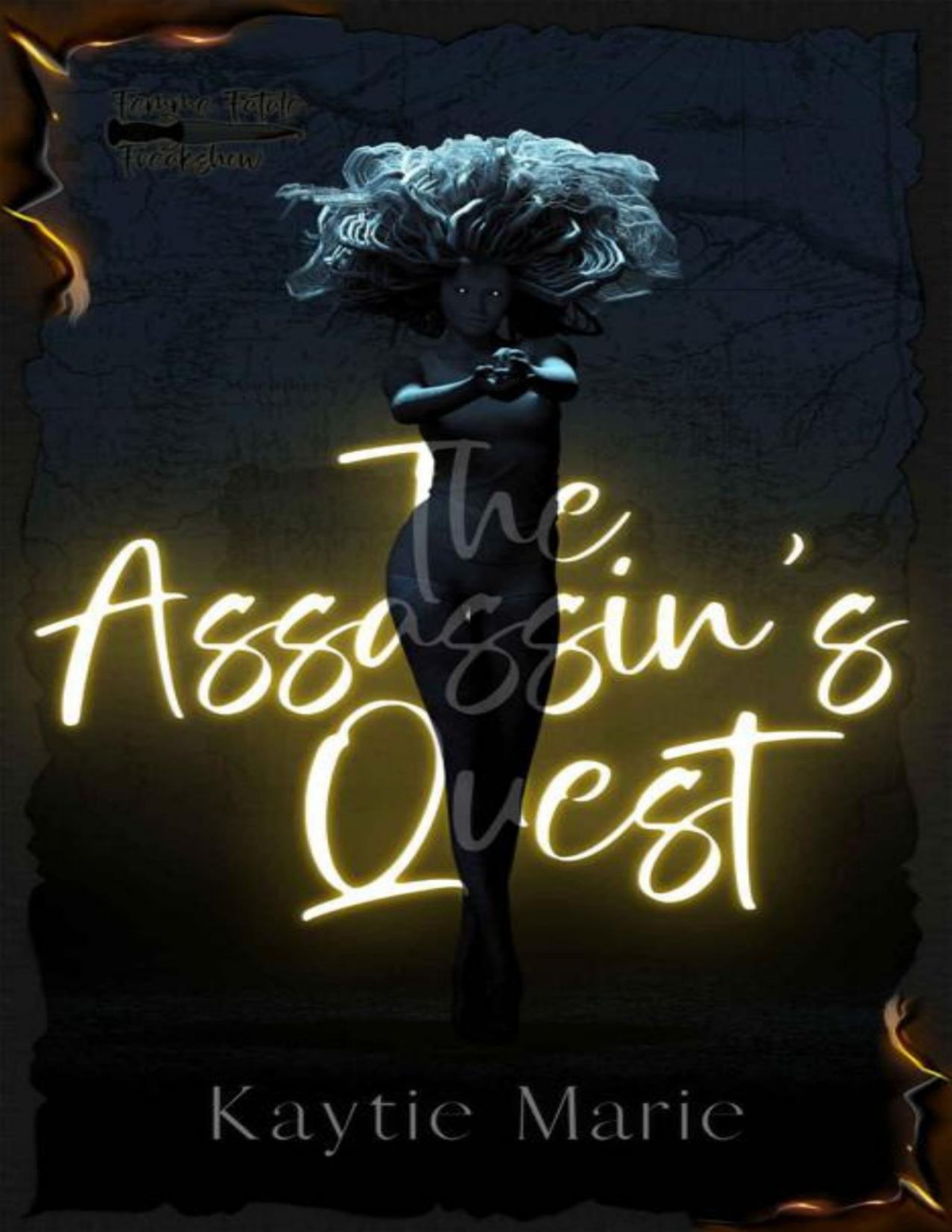 The Assassins Quest Kaytie Marie
