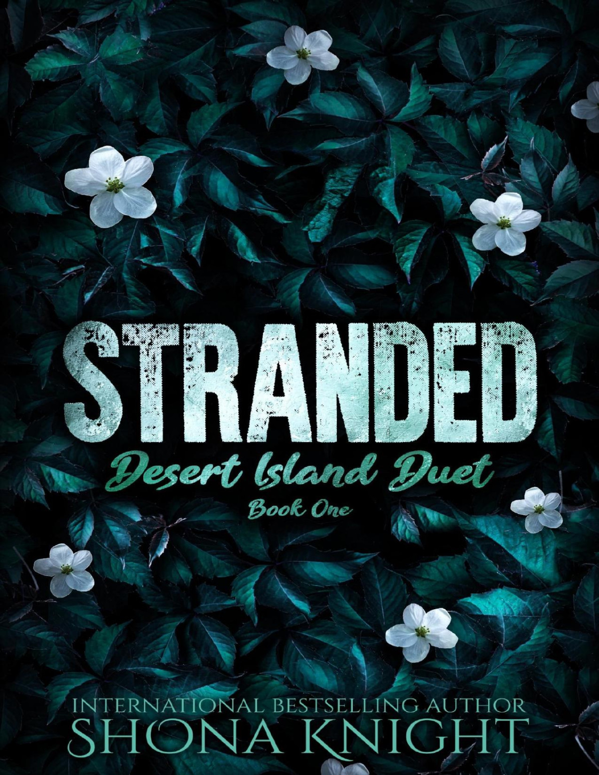 Stranded Desert Island Duet Book 1 Shona Knight