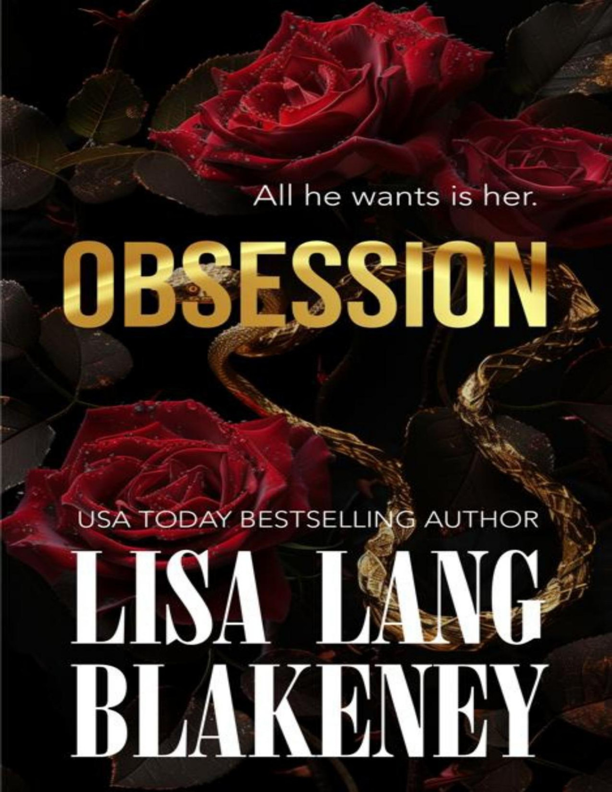 Obsession An Age Gap Billionaire Romance The Middleton Series Book 1 Lisa Lang Blakeney