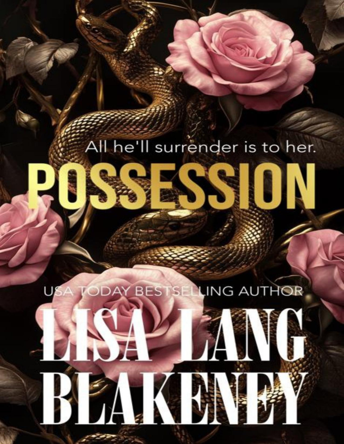 Possession An Agegap Billionaire Romance The Middleton Series Book 3 Lisa Lang Blakeney