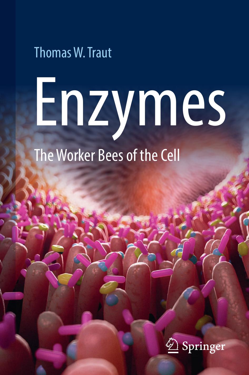 Enzymes The Worker Bees Of The Cell 1st Edition Thomas W Traut