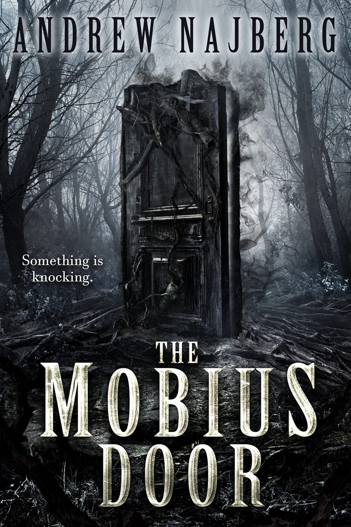 The Mobius Door Andrew Najberg
