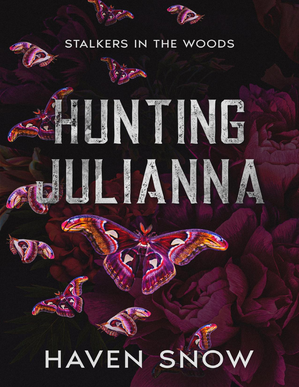 Hunting Julianna Stalkers In The Woods Haven Snow
